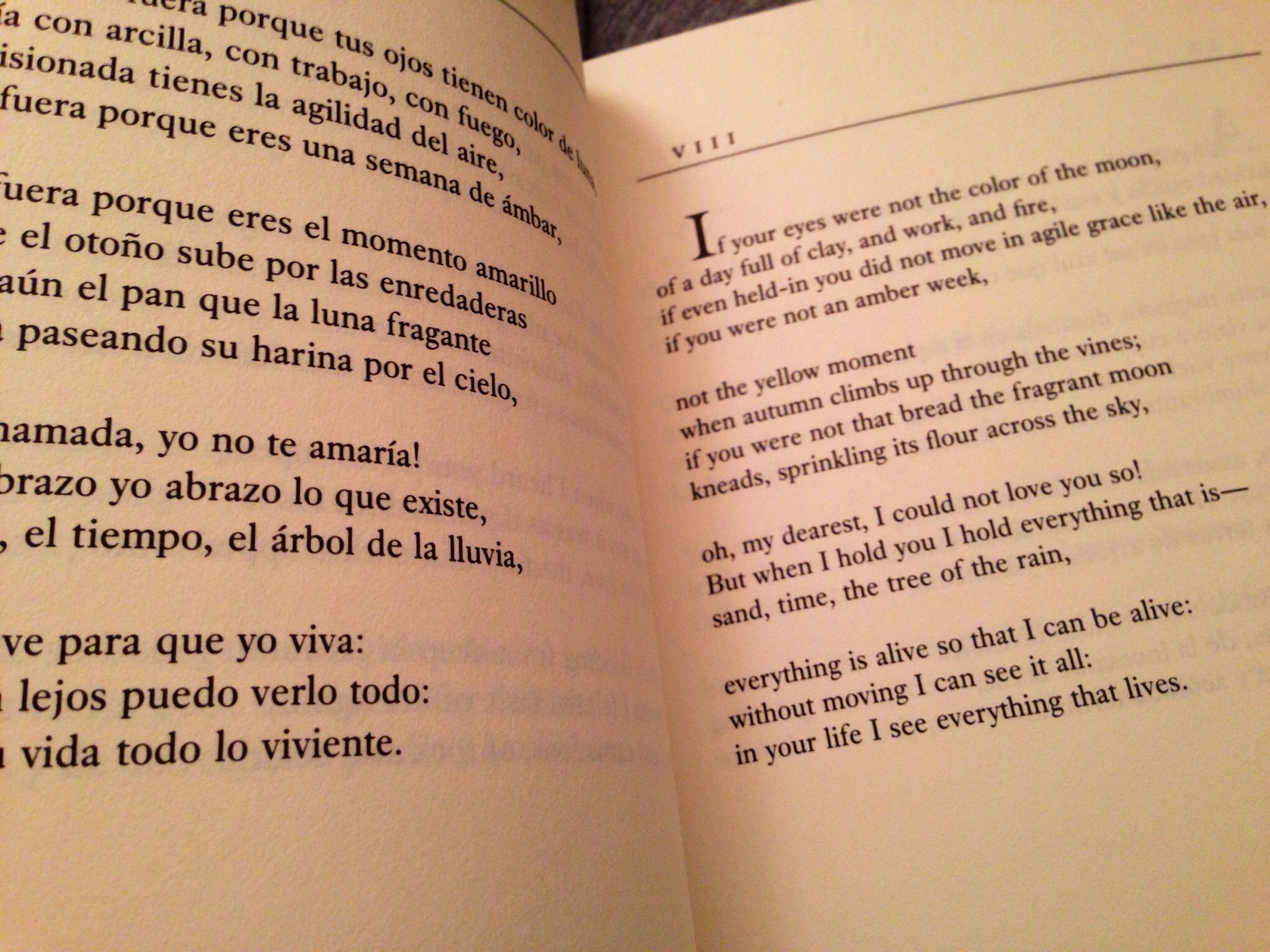 100 Love Sonnets: Cien sonetos de amor (Texas Pan American Series) (English and Spanish Edition) - Image 6