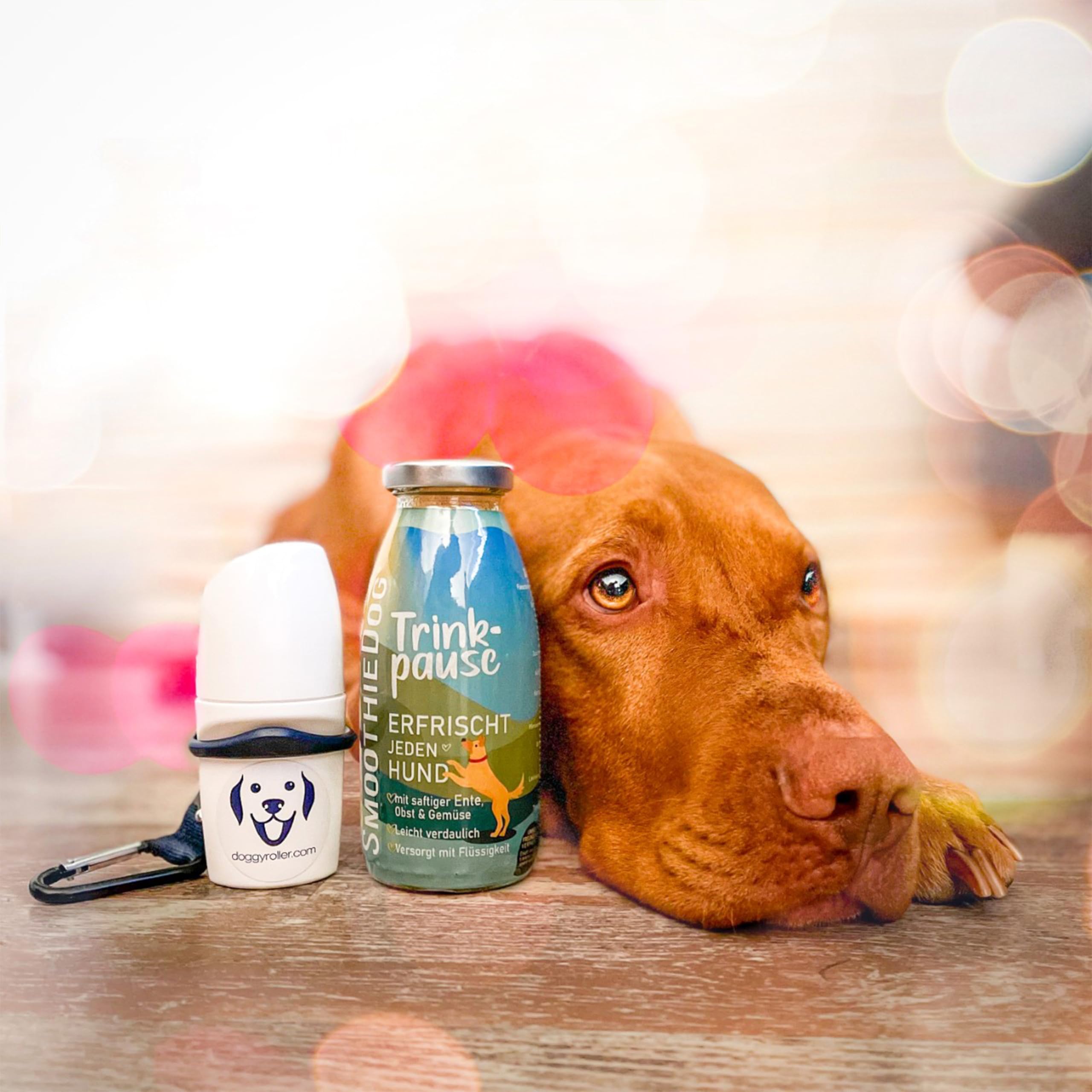 Hunde Smoothie SmoothieDog 6er Huhn + Doggyroller m. Halter, Karabiner Blau - Flüssiges Hundeleckerli - Zucker- & glutenfrei - Zubehör Hund - je 250ml