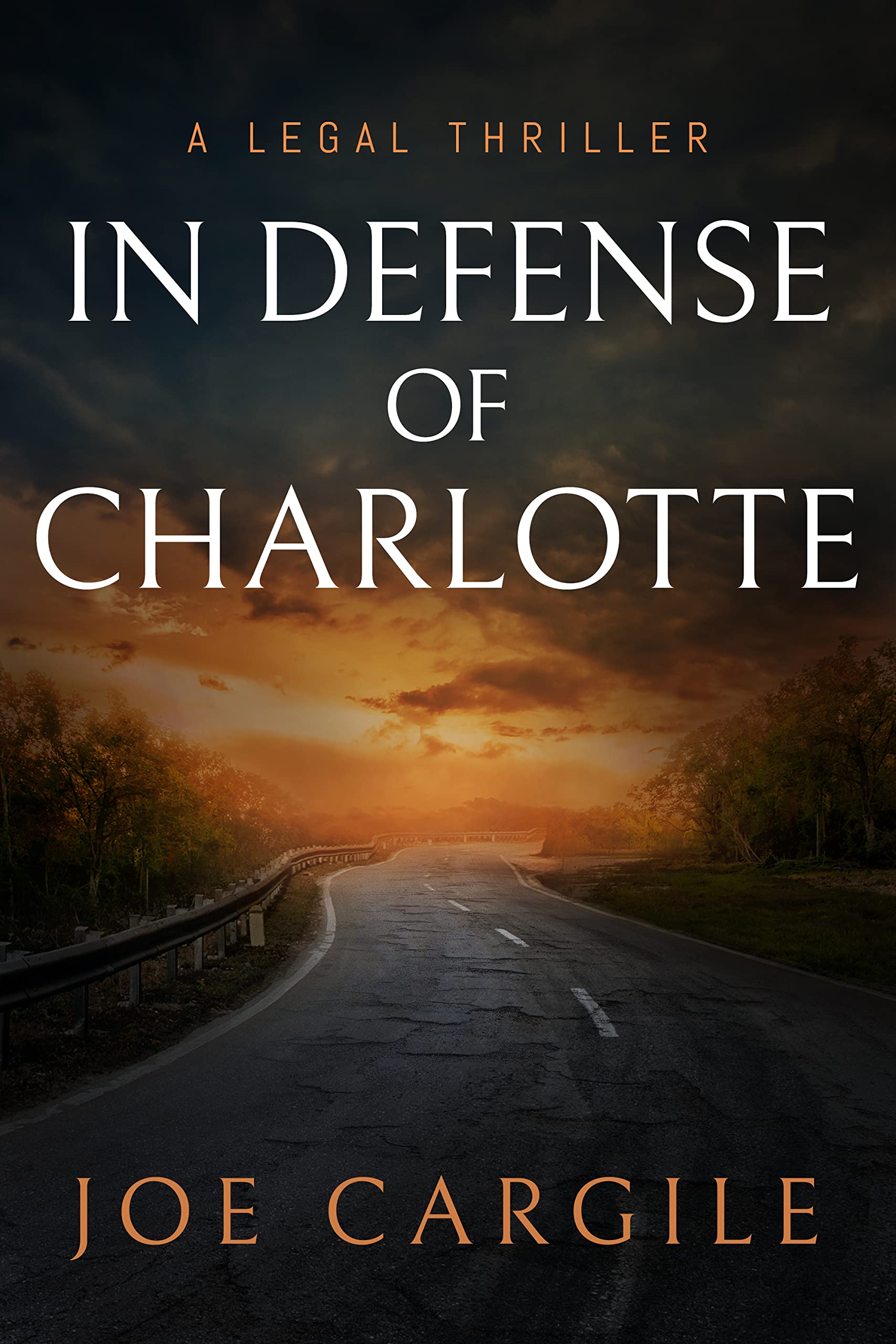 In Defense of Charlotte: A Legal Thriller (Blake County Legal Thrillers Book 2)
