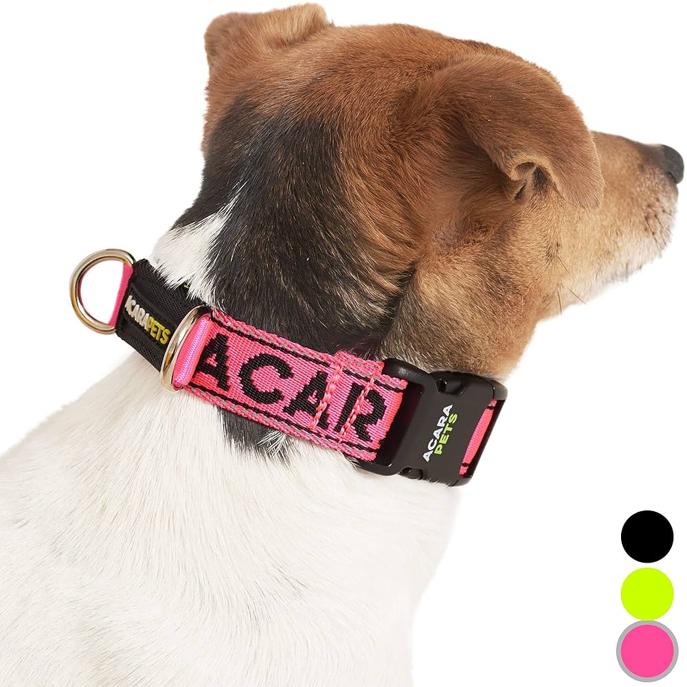 アクセサリー simuero por un perro SIMUERO | Simuero Por Un Perro Necklace SIM-PERRO-S | 트렌비