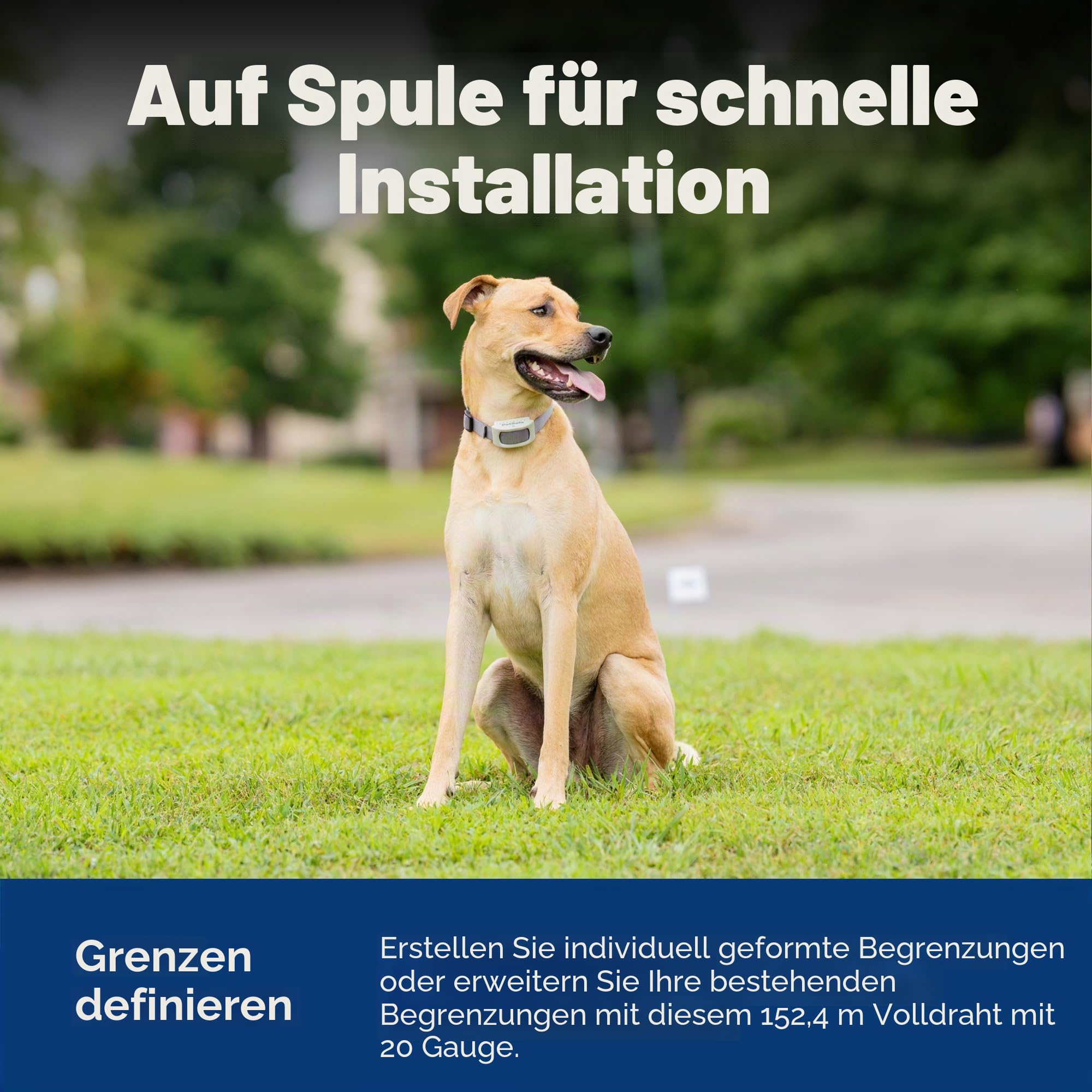 PetSafe Begrenzungsdraht, 152,4 m Spule mit solidem Kern 20-Gauge Kupferdraht, In-Ground Pet Zaundraht, Farben können variieren