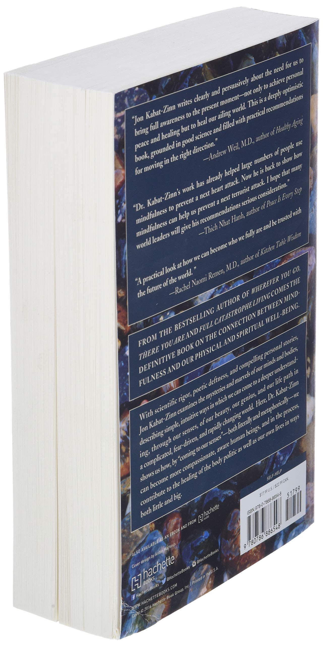 Coming to Our Senses: Healing Ourselves and the World Through Mindfulness - Image 4