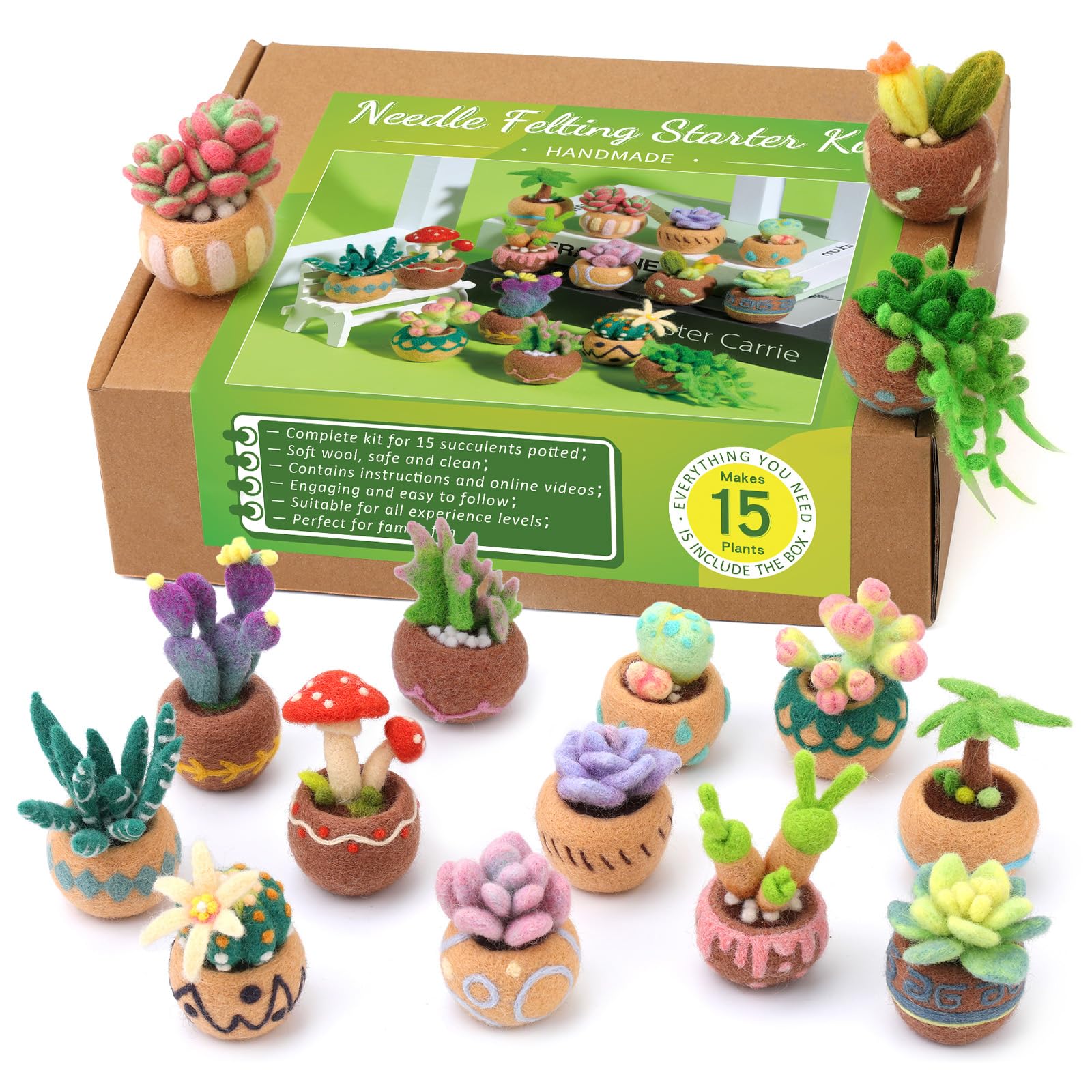 Yizzvb Needle Felting Kit, 15 Pcs Succulent Wool Needle Felt Beginner Kits