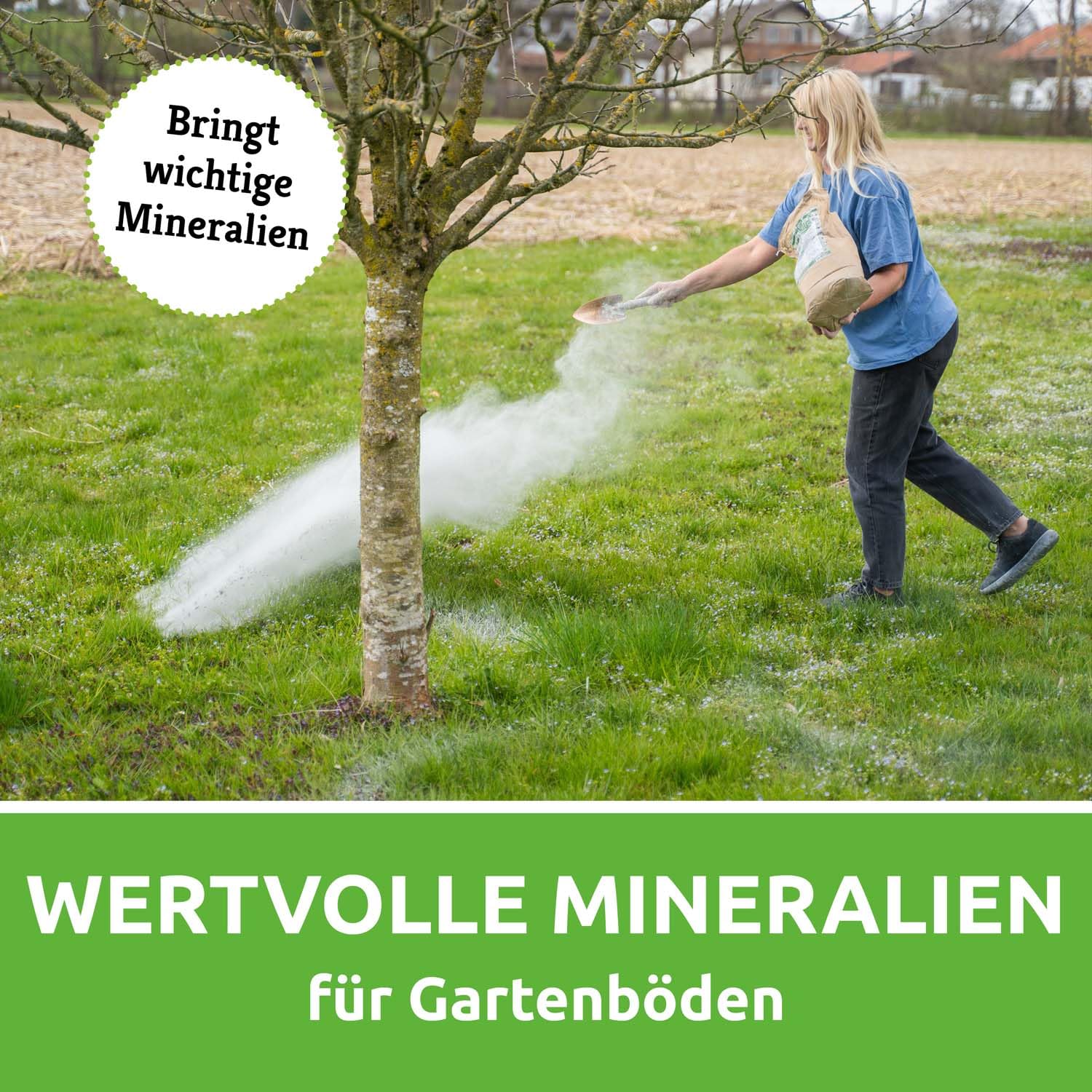 EM-Chiemgau Diabas Urgesteinsmehl fein [mit effektive Mikroorganismen] natürlicher Bodenaktivator, Wurzelaktivator, Kompostbeschleuniger & Staubbad oder Einstreu für Hühner, Zertifiziert (3x 7 kg)