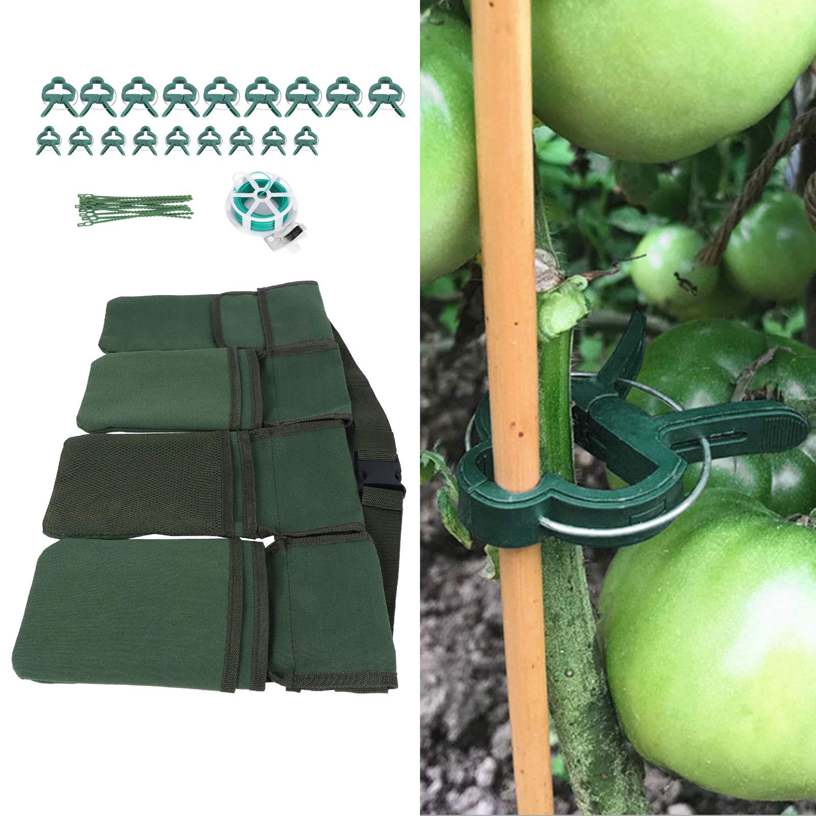 Set di attrezzi da giardinaggio, verde con clip di sostegno per piante, kit di fascette regolabili per la tutoratura di pomodori, cetrioli e piselli dolci, organizer