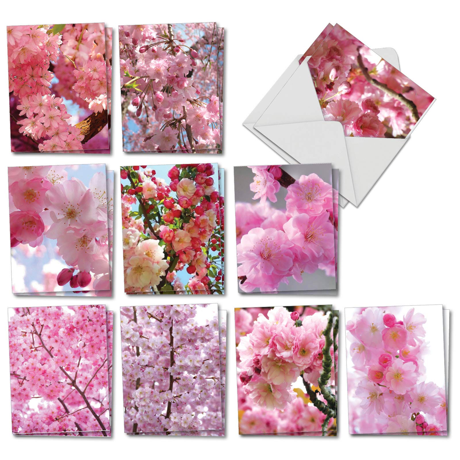 The Best Card Company20 Assorted Blank Plant Cards Boxed (4 x 5.12 Inch) (10 Designs, 2 Each) - Cherry Blossoms AM6861OCB-B2x10
