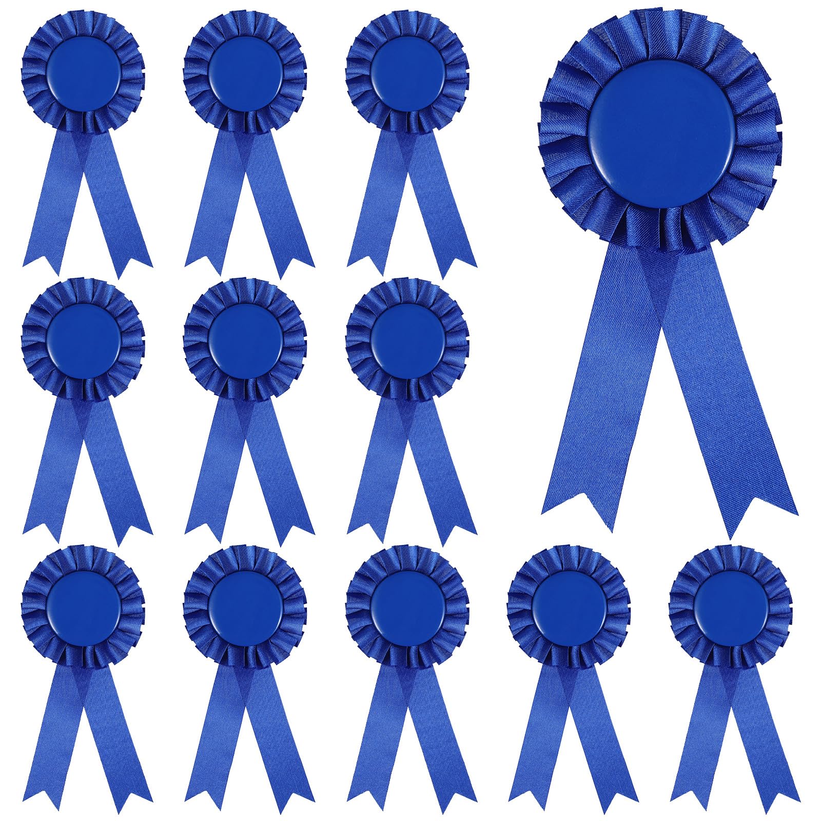 Photo 1 of 12 Pieces Blank Award Ribbon Prize 1st Place Ribbon Winner Victory Participation Ribbons Rosette Medal for Sport Event, School, Contest (Blue)