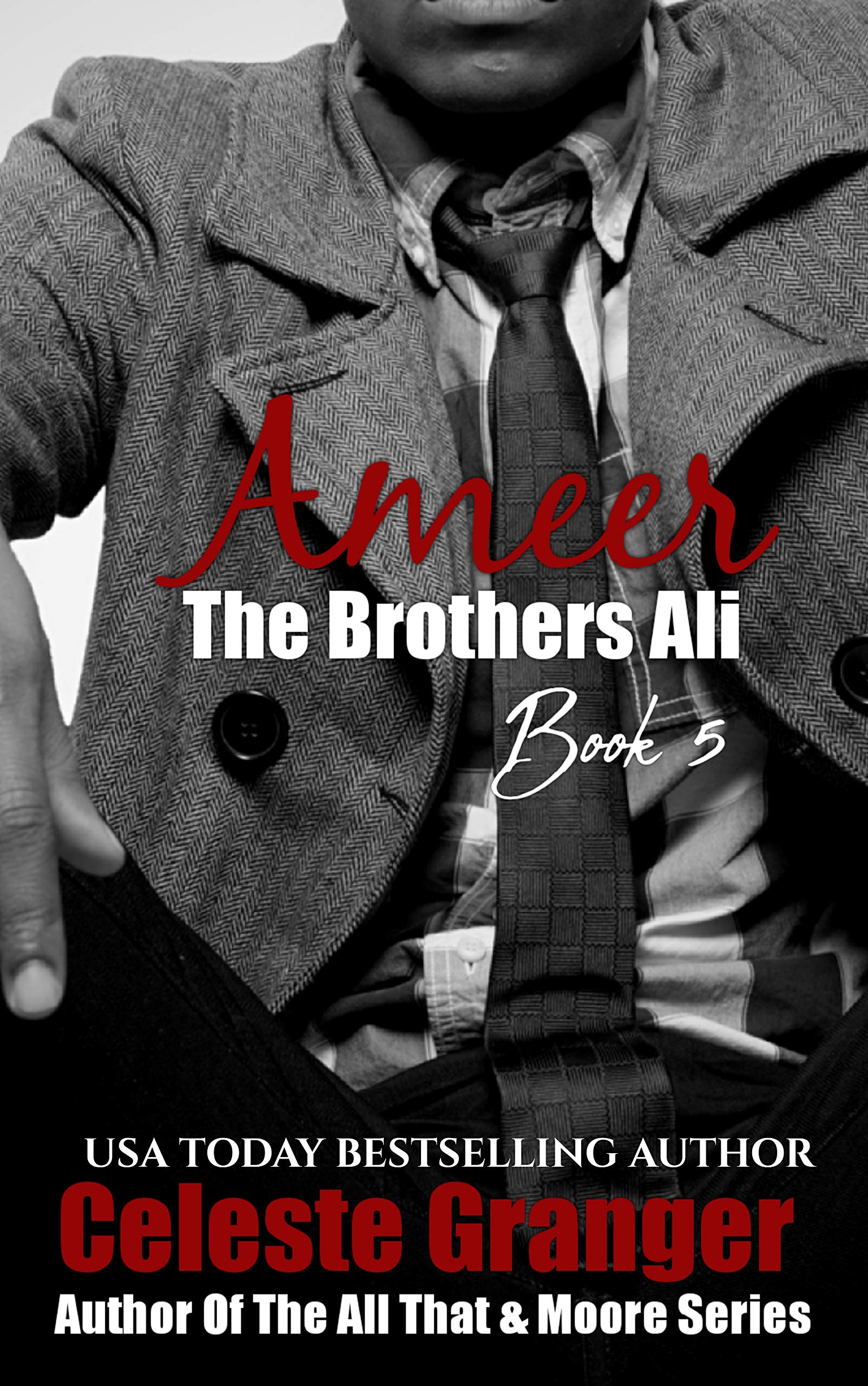 Ameer (The Brothers Ali Book 5)