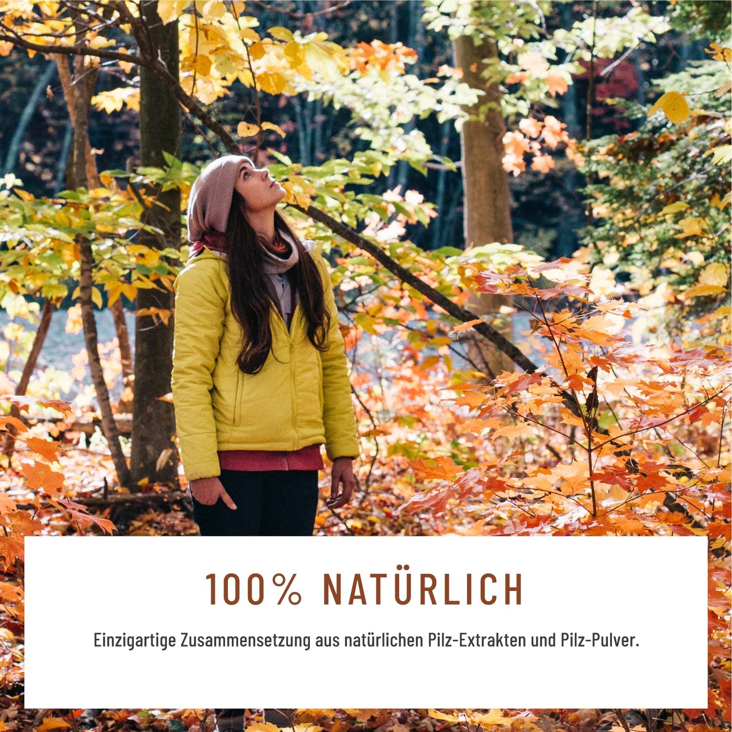 NATURTREU® Pilz Komplex hochdosiert 120 Kapseln mit Hericium Erinaceus (Lions Mane) Extrakt, Chaga, Reishi Extrakt, Shiitake Extrakt, Beta Glucan, Vitamin B2, B5 & B6