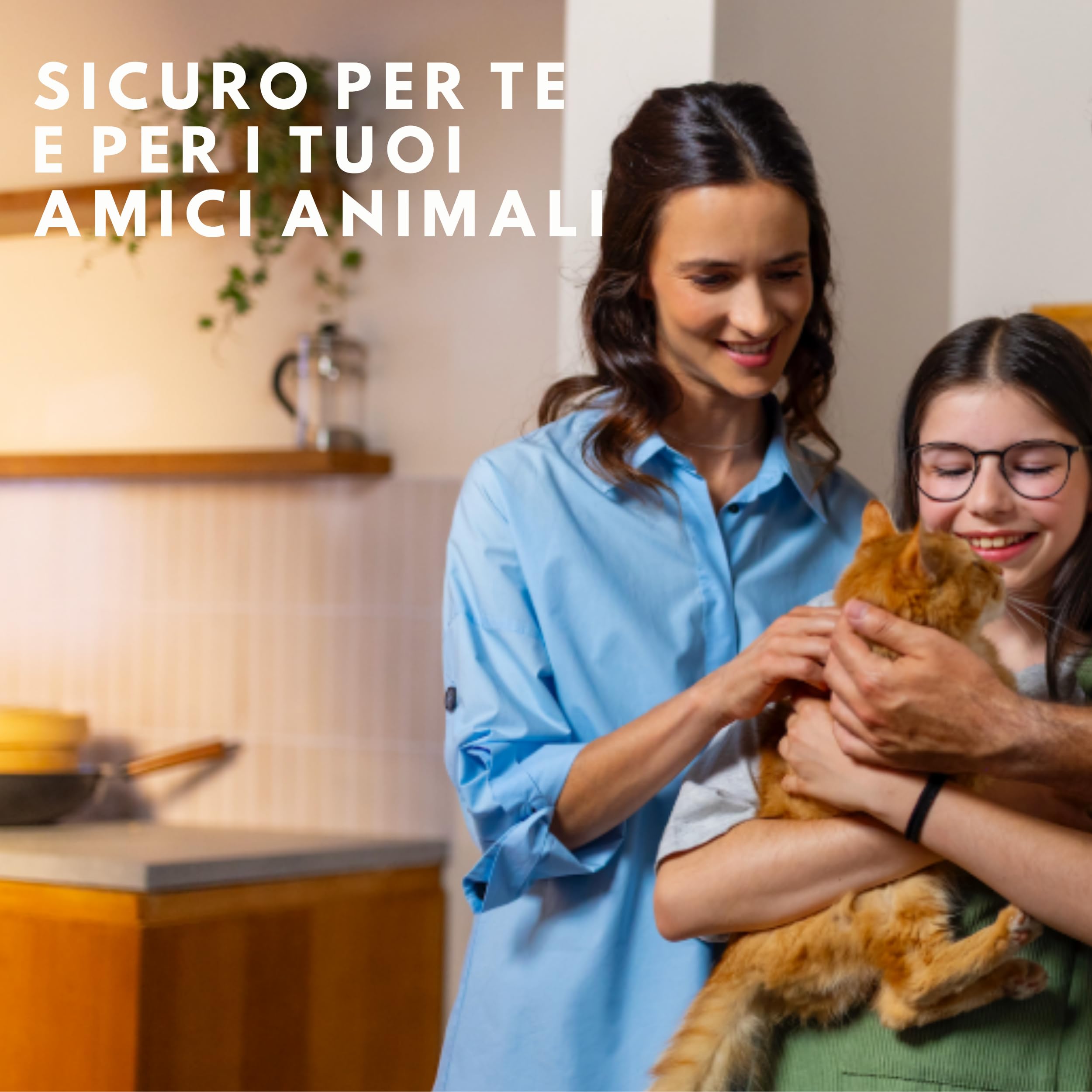 Raid Essentials Trappola Insetti Volanti Base Antimosche, Antimoscerini e Antitarme, Senza Insetticida, Protezione 24/7 dagli Insetti Volanti, per uso Interno, 1 Trappola e 1 Ricarica