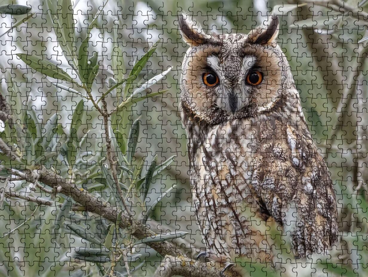 Puzzle dla dorosłych 5000, sowa brązowa 5000 elementów, puzzle dla dorosłych, klasyczne gry edukacyjne, gry i zajęcia rodzinne, do dekoracji ścian domu, świetny pomysł na prezent R0KH-588