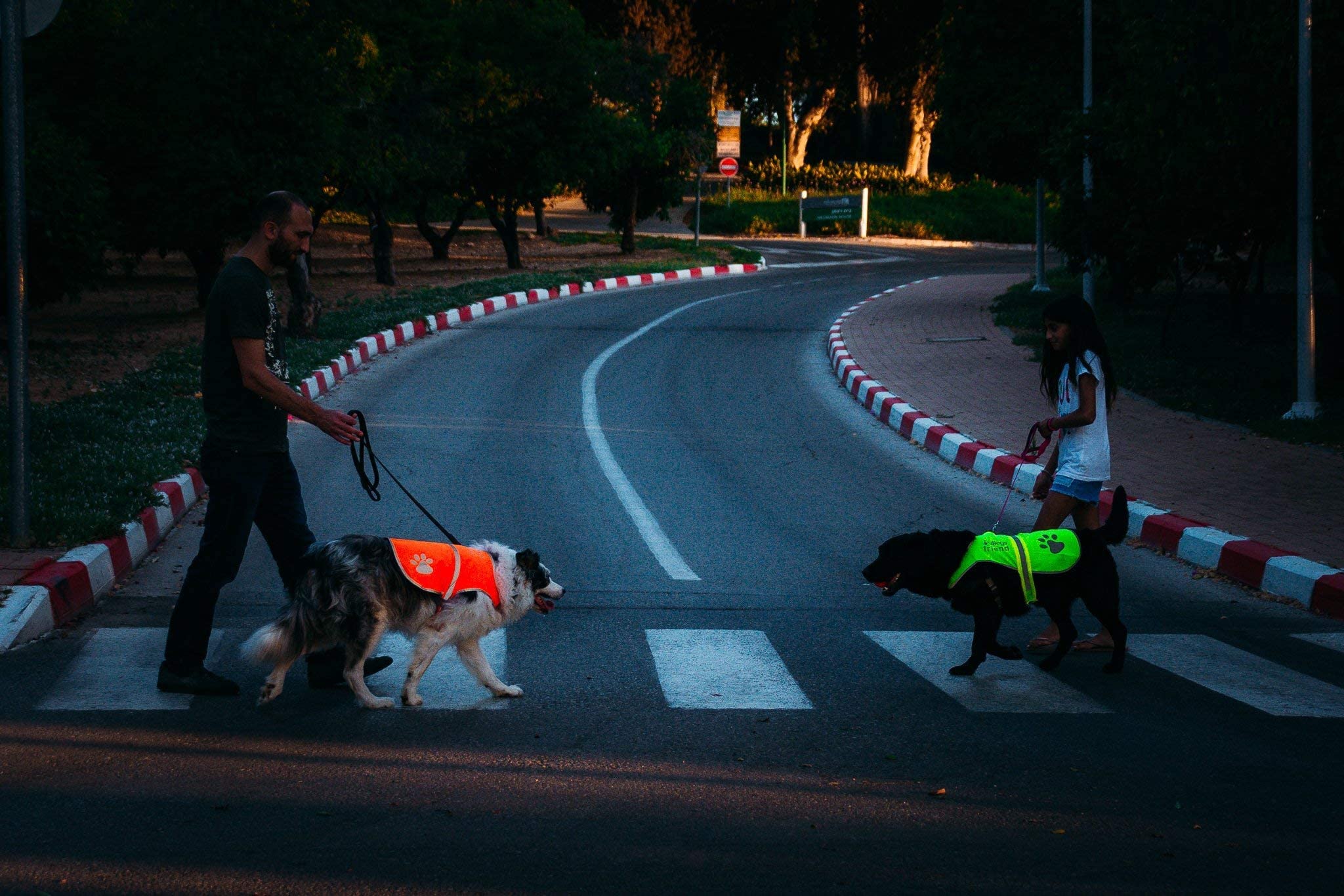 Gilet de sécurité réfléchissant léger avec Trou pour Laisse - 5 Tailles - Sangles réglables à Boucle, Haute visibilité - Protège Votre Chien des Voitures et des Accidents de Chasse (X-Large, Orange)
