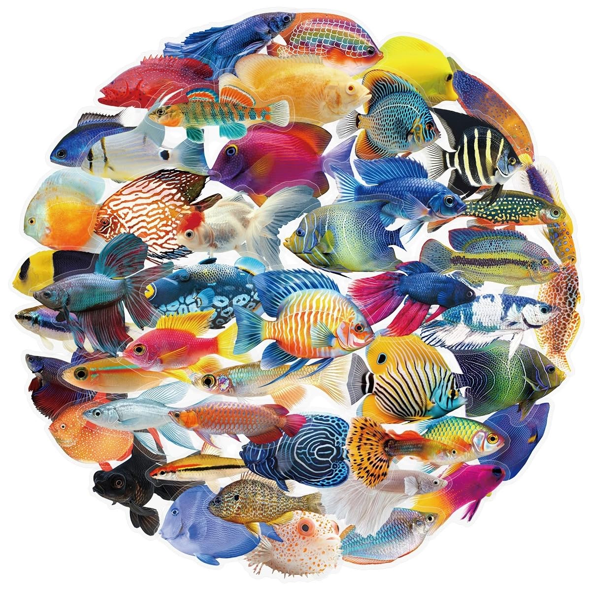 50 Pcs Fish Stickers for Kids Teens Adults Boys Girls Gift,Fish Stickers Pack for Laptop,Skateboard,Luggage,Car,Bike,Cup,Computer,Water Bottle Decor,Transparent Vinyl Waterproof Decals - Image 4