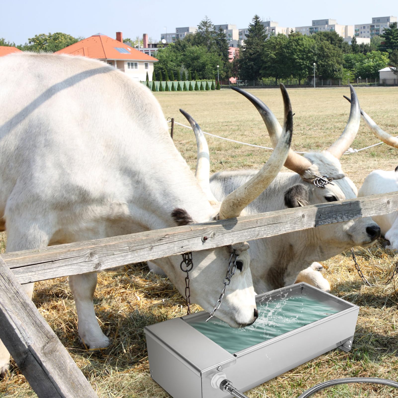 Wakects Bebedero de ganado de acero inoxidable, bebedero para ganado, bebedero automático, con válvula de flotador, 7,5 litros, para caballos, vacas, ovejas, perros