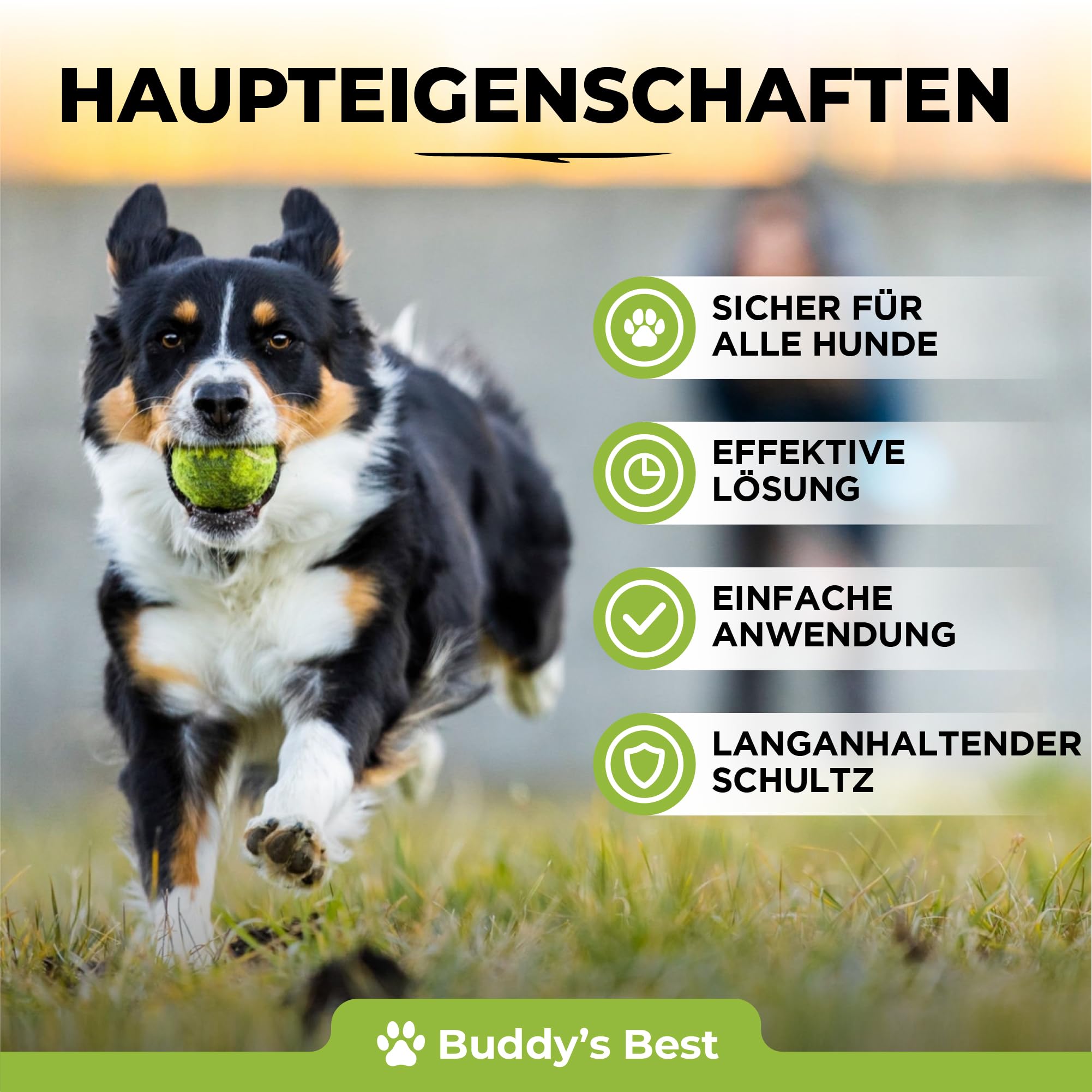 BUDDY'S Best 50ml Spot On Flohmittel Hund Bei Befall - Floh Zeckenschutz Hund - Flöhe Hund - Zeckenmittel Für Hunde - Spot on Hund Anti Floh Hund
