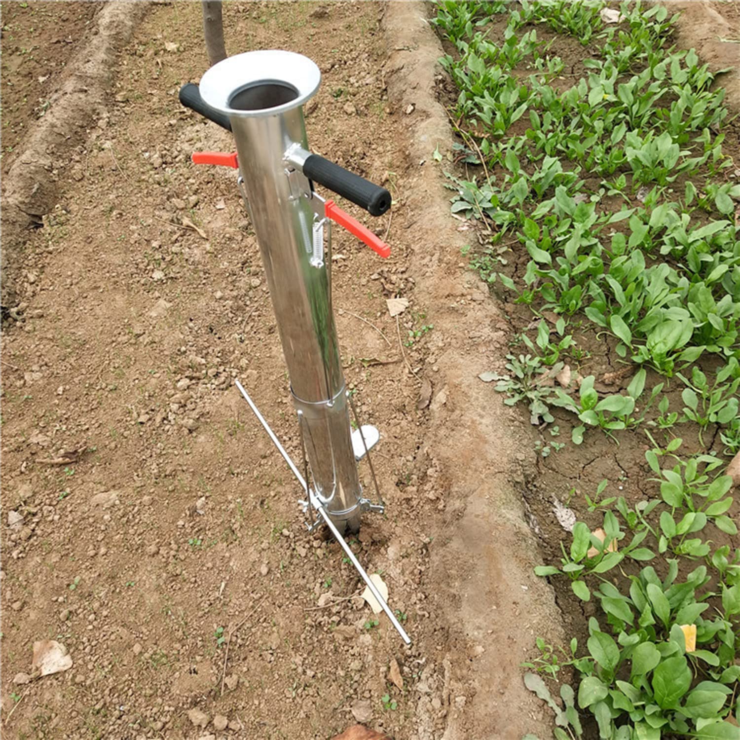 Fioriera per bulbi con manico lungo,fioriera per bulbi a mano,fioriera bucaneve,strumento per fioriera manico lungo,dibber per bulbi,distributore di semi per seminatore,perforatrice,anche per trapian