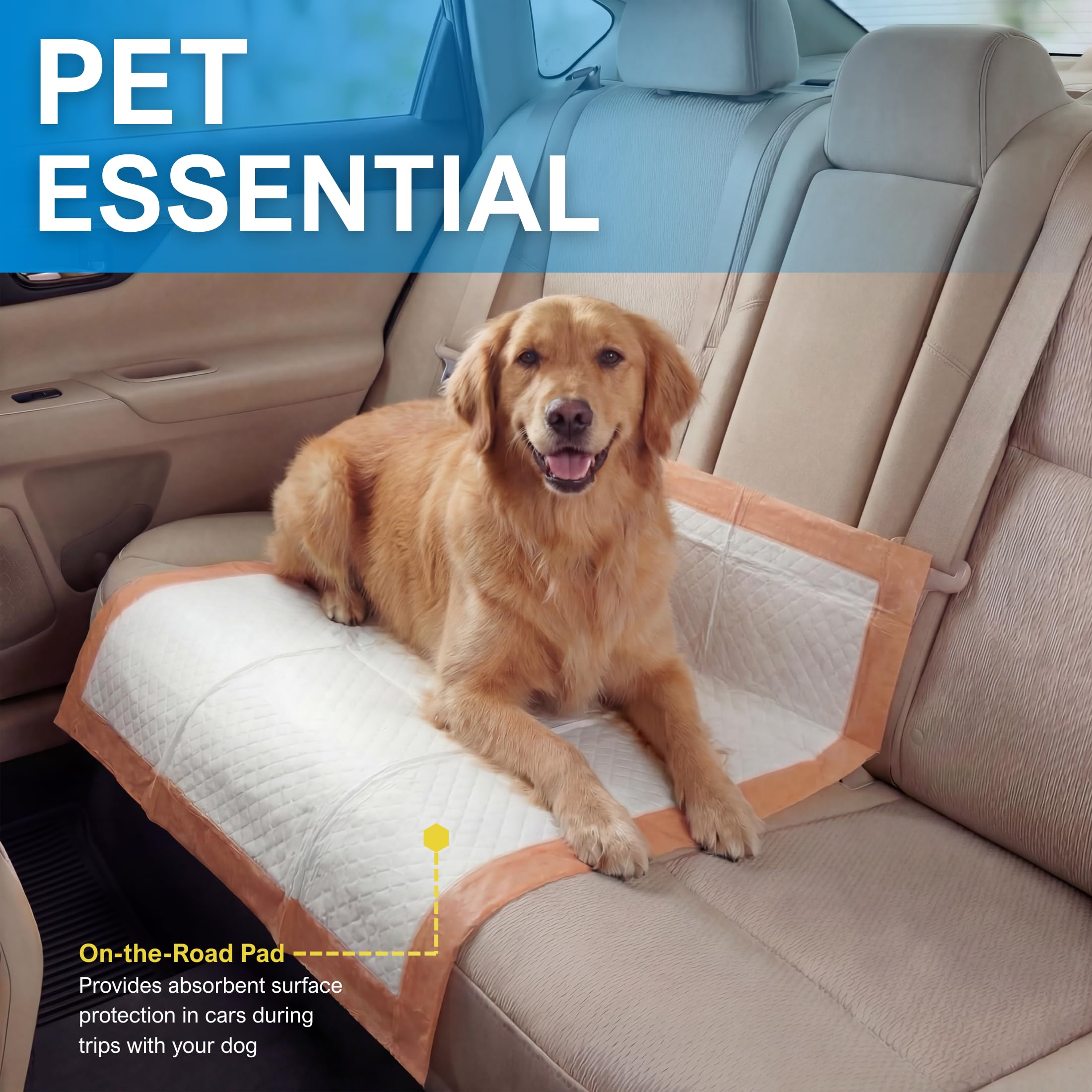 MED PRIDE Lot de 30 tapis de dressage pour chien avec appât jetables, ultra absorbants avec technologie à 6 couches - Anti-fuites et imperméables pour chiens, chats, lapins [76,2 x 76,2 cm]