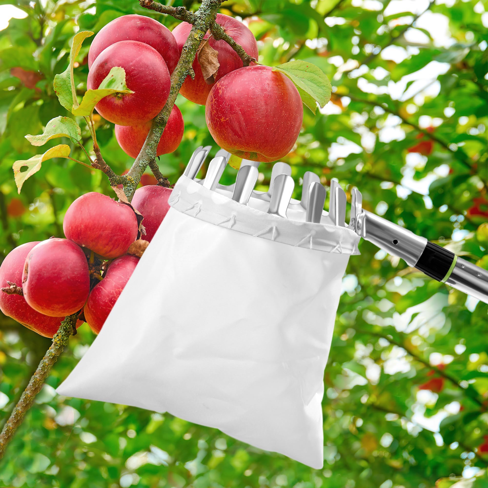 Strumento per Raccolta di Frutta,Raccoglitrice di Mele Raccogli Fichi con Leggero Regolabile Palo in Acciaio Inox Telescopico E Borsa per Limoni Mele Pere Pesche Arance Bacche 2.4m