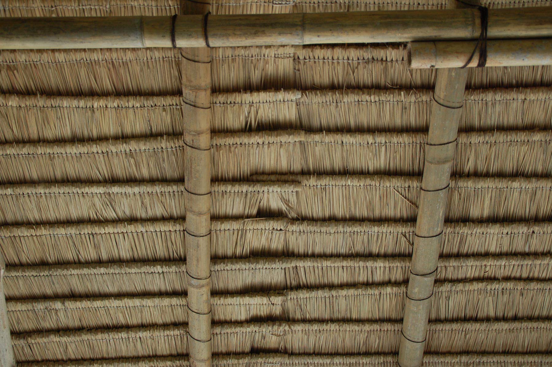 Palmdach Paneele Palmschindel Palmenblätter | Nachhaltiges Naturmaterial | Wetterfest Regendicht und Langlebig | Innen- und Außenbereich | ca. 148 cm x 80 cm | 10 Stück