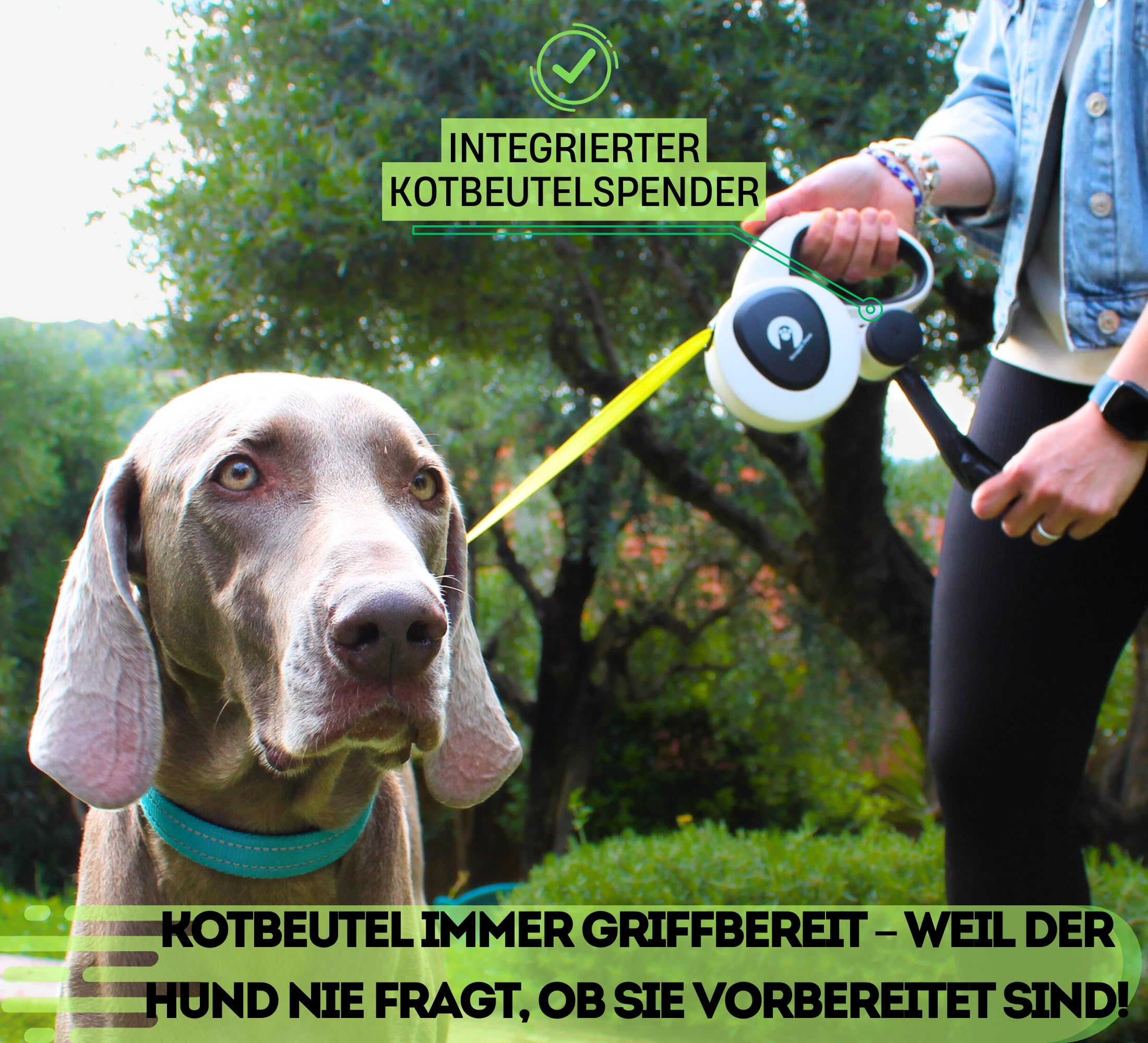 Snuggle Paws Ausziehbare Hundeleine 5m – Kompakt & Leicht: LED-Lampe, Integrierter Kotbeutelspender, Anti-Kau-Stahlseil, Reflektierendes Nylonband | Rollleine für kleine Hunde bis 20 kg
