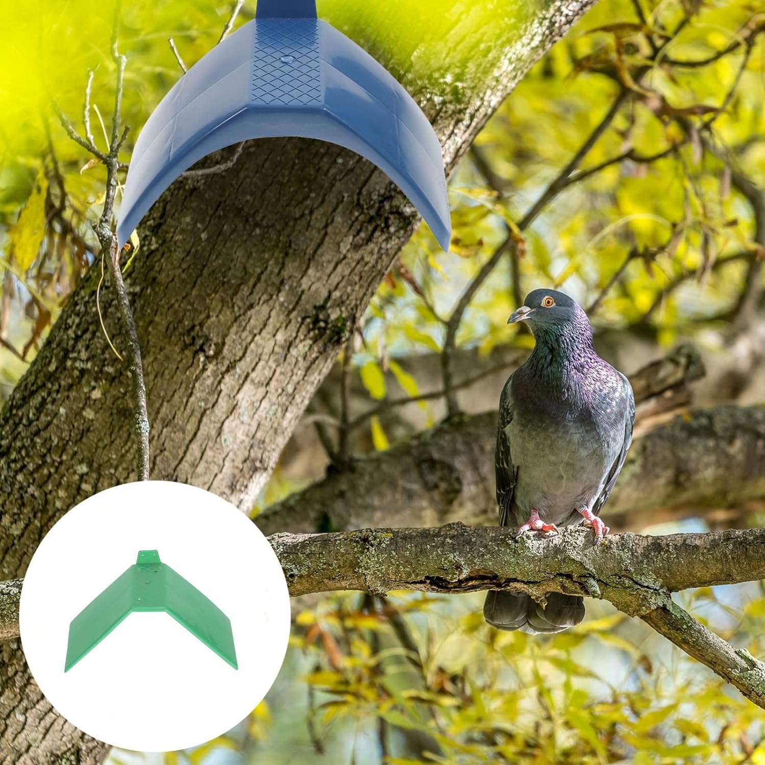 Supporto per colomba, 10 pezzi, supporto per colomba verde in plastica, per piccoli piccioni, posatoi per uccelli, posatoi antiscivolo, supporto per abitazione per uccelli, accessori per gabbie