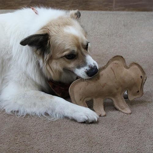 Miniatura 11 de SPOT Dura-Fused Leather Buffalo - Juguete masticable duradero de cuero real y yute con chirriador, doble costura para masticadores moderados, perros