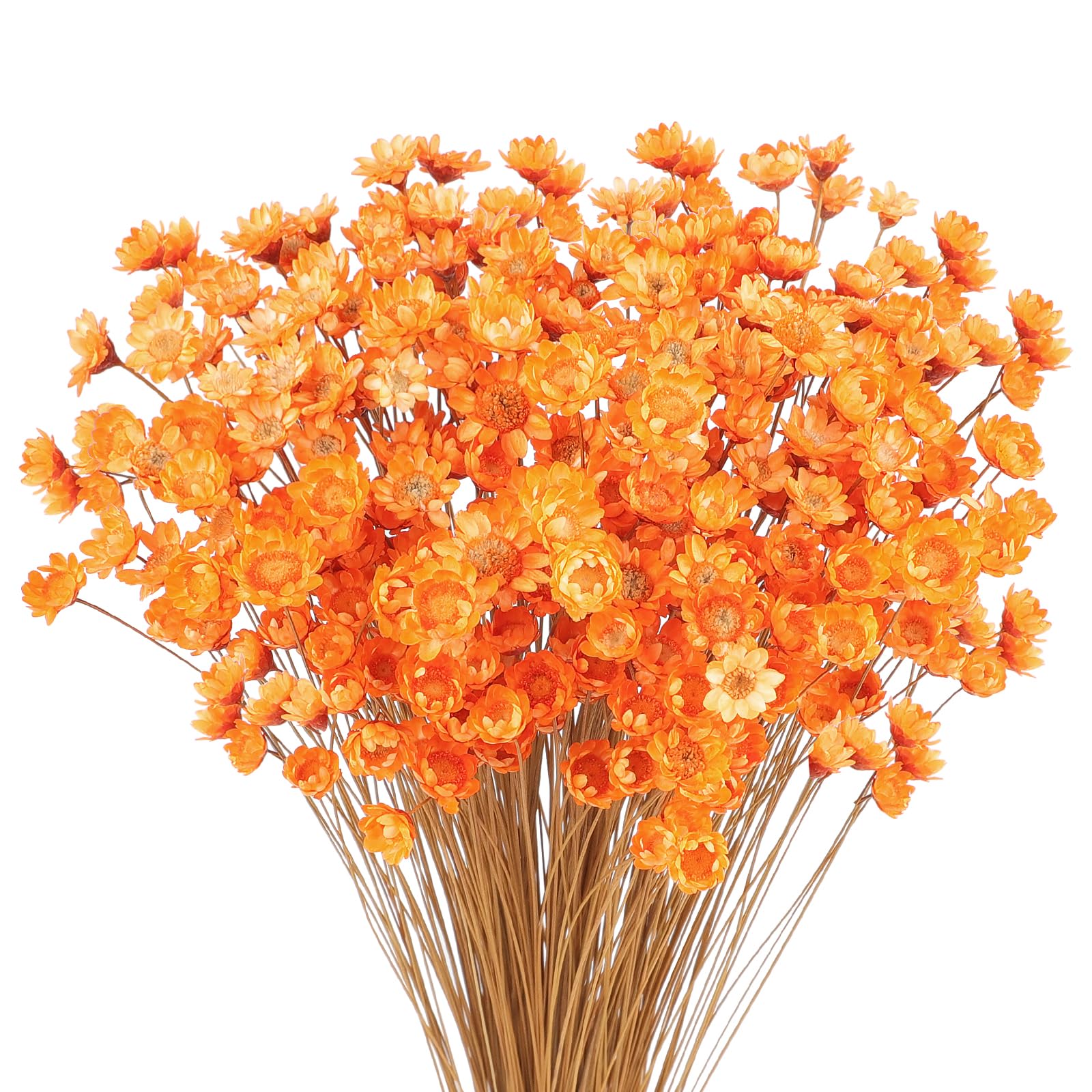 matches21 - Set di 5 decorazioni per ghirlande e matrimoni in colore