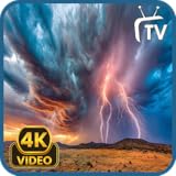 Rain and Thunder Screensaver - Real Rain & Nature Sounds