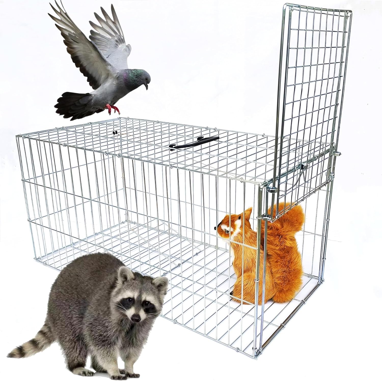 Animal Trap Cage Pigeon Squirrel Racoon Outside Trapping Live Small Animal Bird Trap Cage 3.9 Pounds 23.6"*11.8"*11.8"/Medium