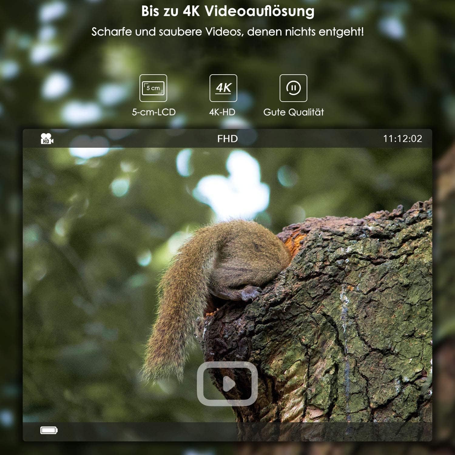 Squirrel captured in 4K video, showing 5cm LCD and good quality icons