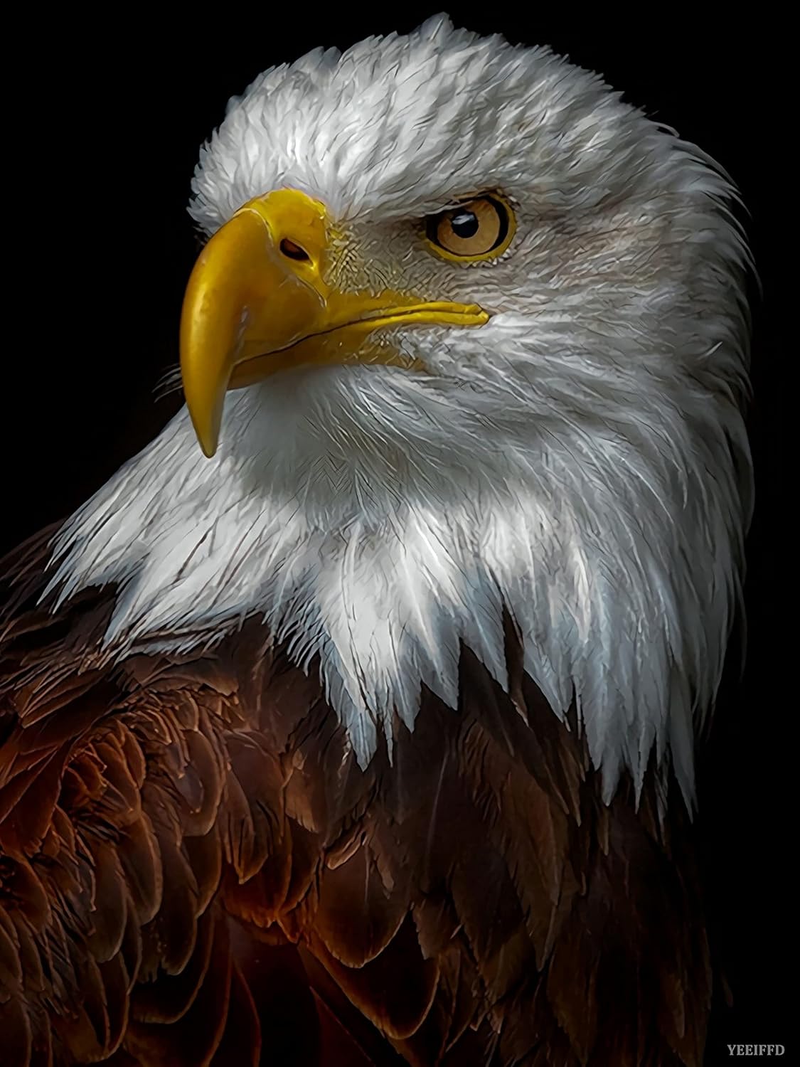 YEEIFFD American Bald Eagle Diamond Art Painting Kits