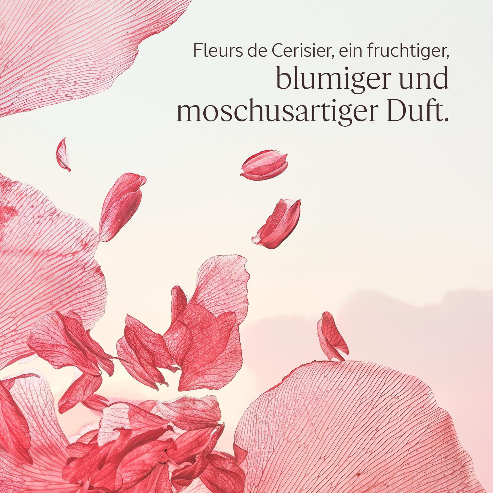 L'OCCITANE - Eau de Toilette Fleurs de Cerisier (Kirschblüte) - 50 ml
