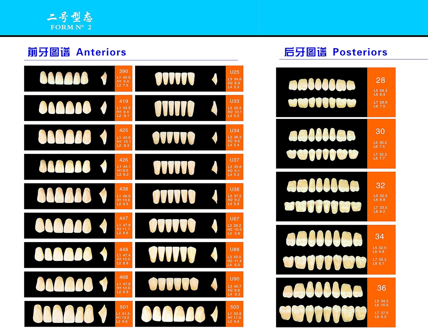 SDent® 2 Boxes 3 Layers Super Hard Synthetic Resin Teeth Multi-Layer Acrylic Composite False Teeth Denture Polymer Polymerial Materials 2 Mouths/Box & Full Set & A3 & 56PCS