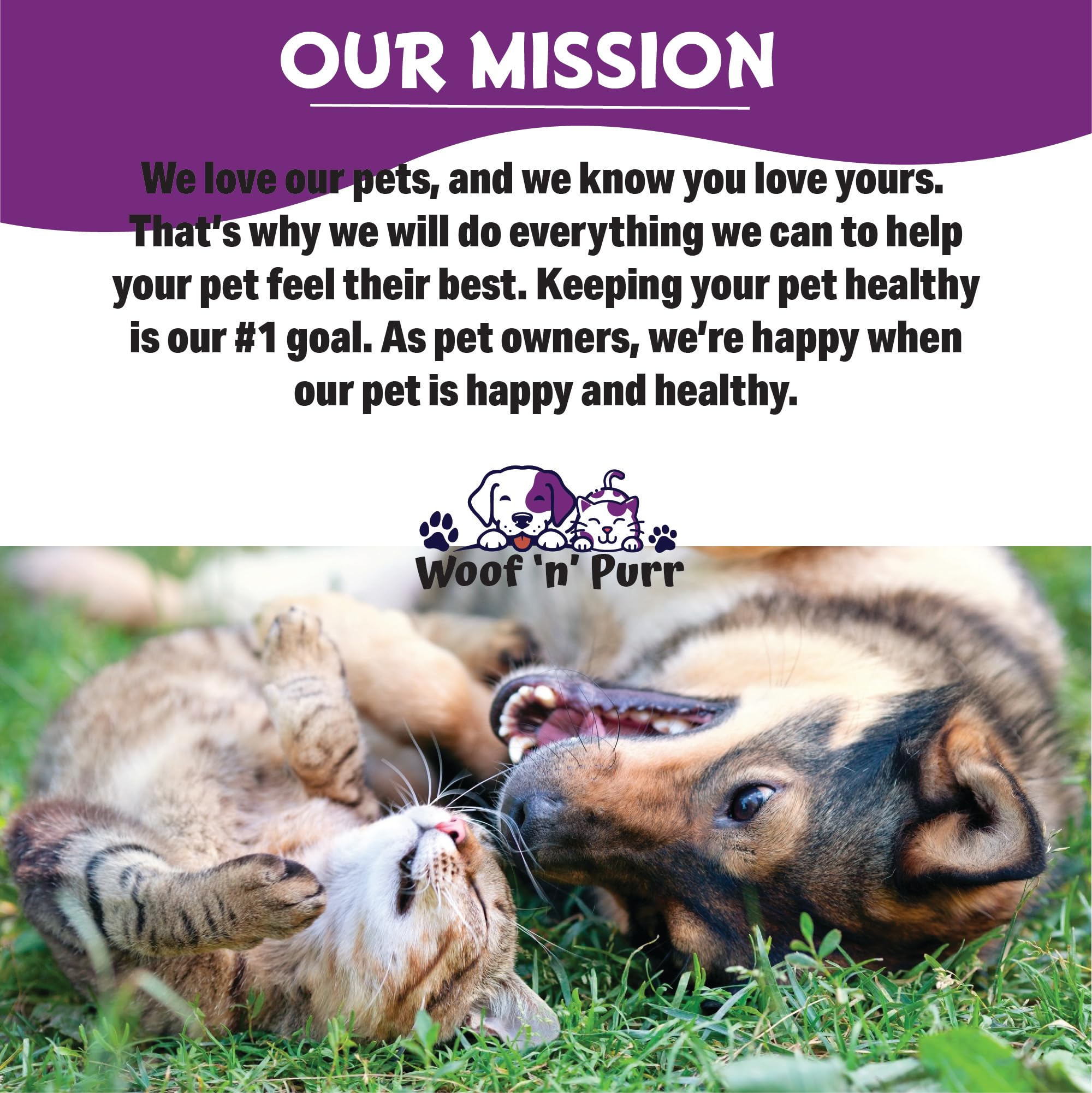 Melatonin for Cats | Supports Healthy, Restful Sleep for Your Cat | Cat Stress Relief | Cat Calming | Cat Anxiety Relief | Cat Melatonin | Anxiety Relief for Cats | Cat Sleep Aid | 1 fl oz - image 7