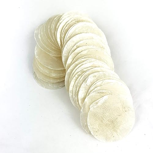 Miniatura 3 de Worlds Natural Capiz Round Cut Seashells 50PC(1-12"Inch)