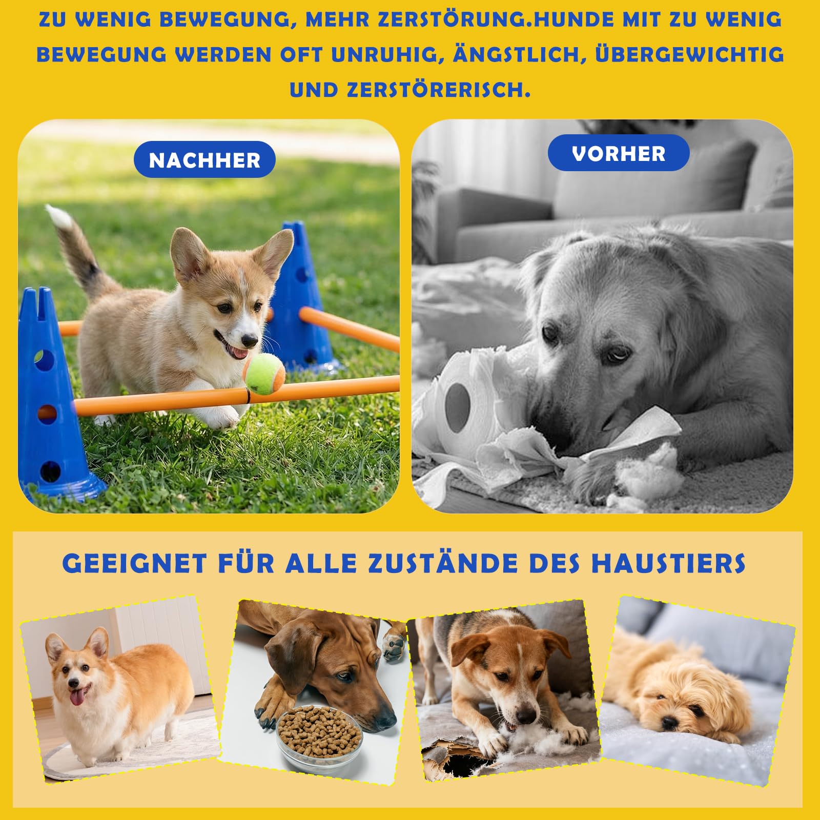 Cavaletti Stangen Hund Agility Set Hunde Klein Groß 30 cm Hoch, Sports Steckhürdenset mit 8 Kegel 16 Stangen, für Pylonen Hundetraining & Fussball Trainingszubehör