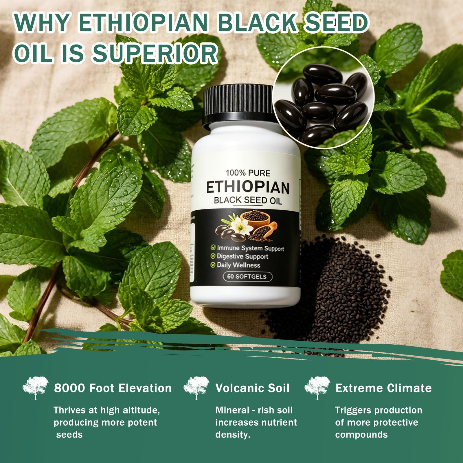 Ethiopian Black Seed Oil Softgels ,Purely Nutrient Ethiopian Black Seed Oil,4.64% Thymoquinone Non-GMO, Gluten-Free,60 Capsules — Amazon image 2