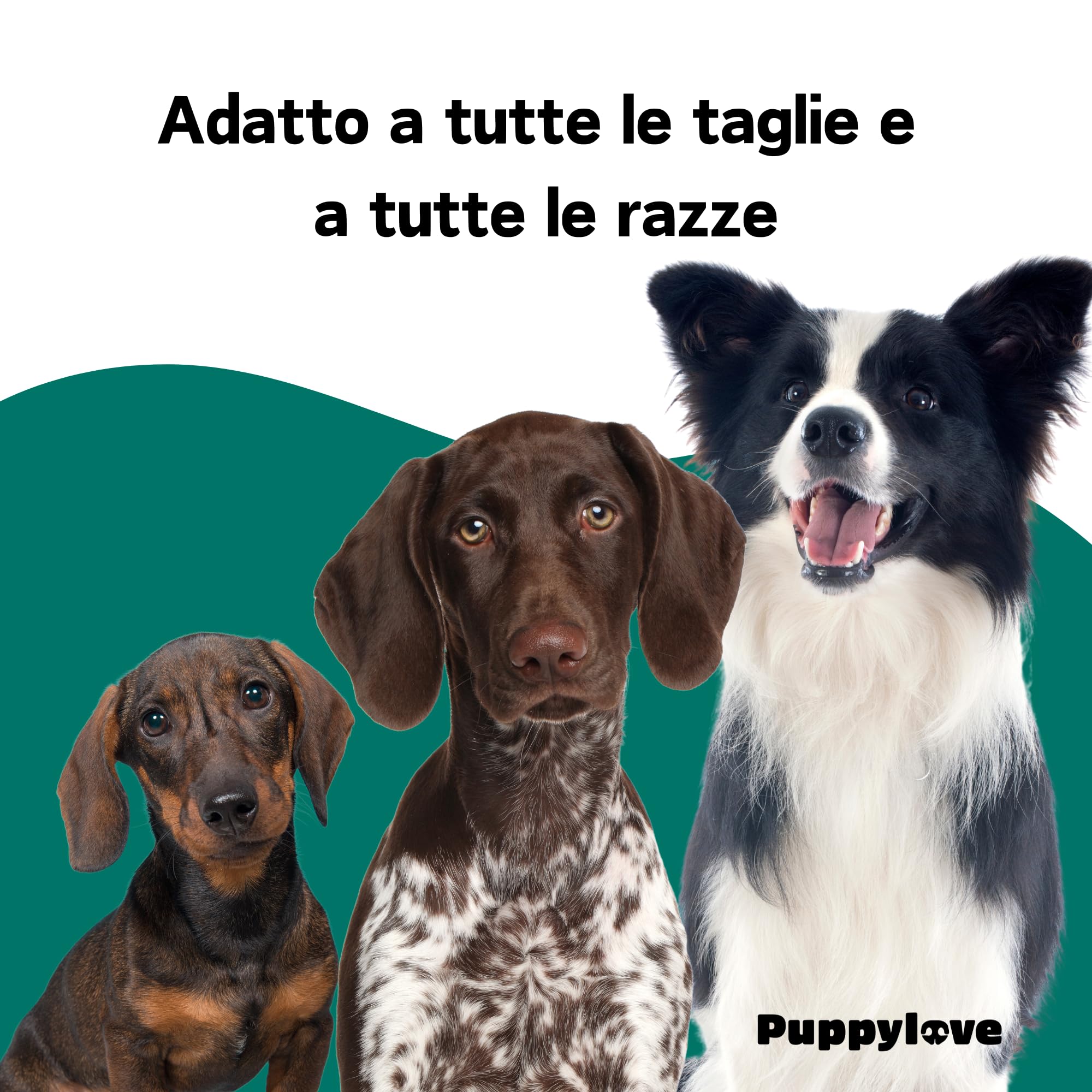 Puppylove Agility Boost – Integratore per le Articolazioni dei Cani -100 Compresse – Supporto per Mobilità e Flessibilità – Con Glucosamina, Condroitina e Olio di Pesce – Per Cani di Tutte le Taglie