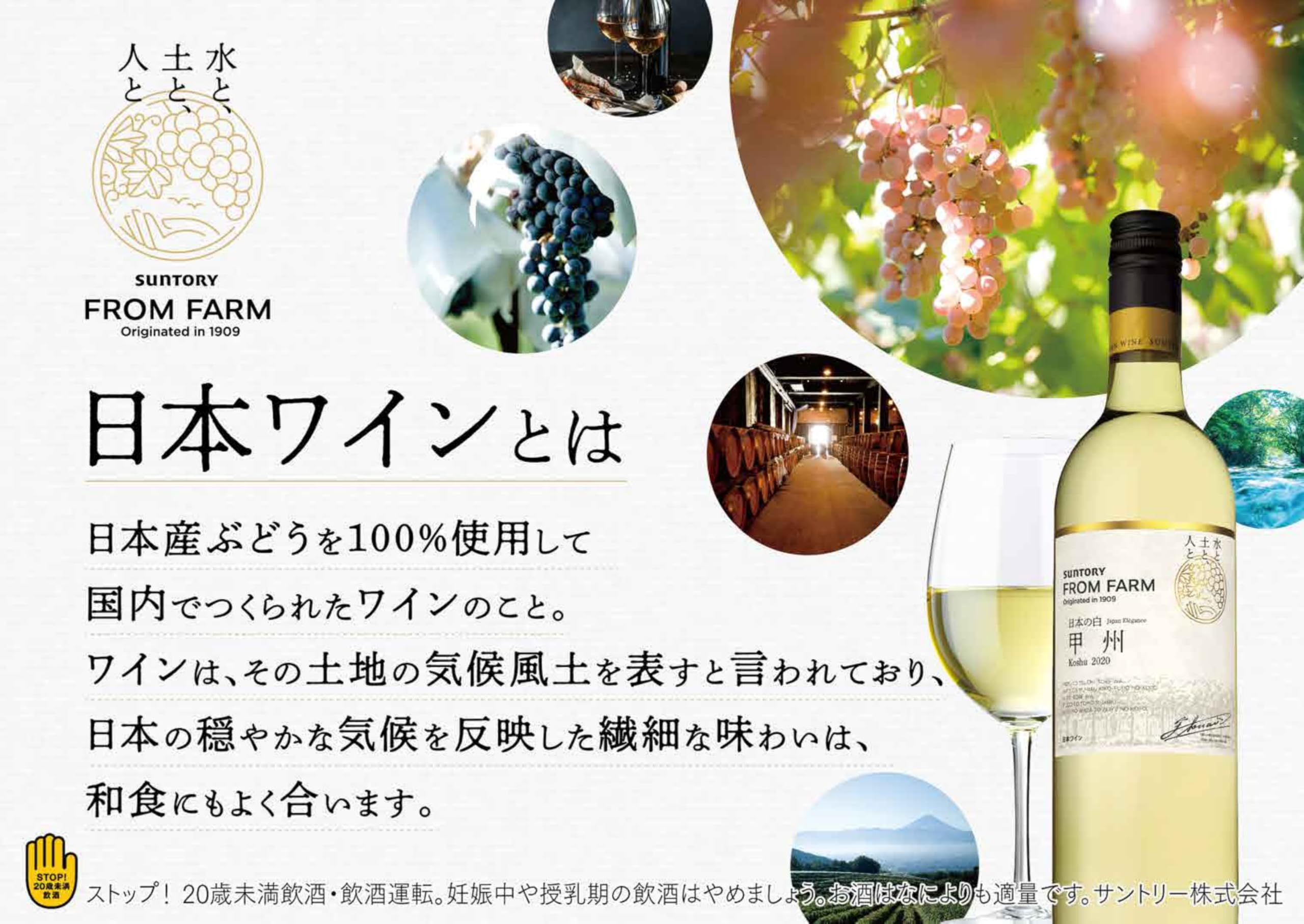 Suntory FROM FARM 2019 津軽シャルドネ&ピノ・ノアール Amazon.co.jp: サントリーフロムファーム 津軽 シャルドネ＆ピノ