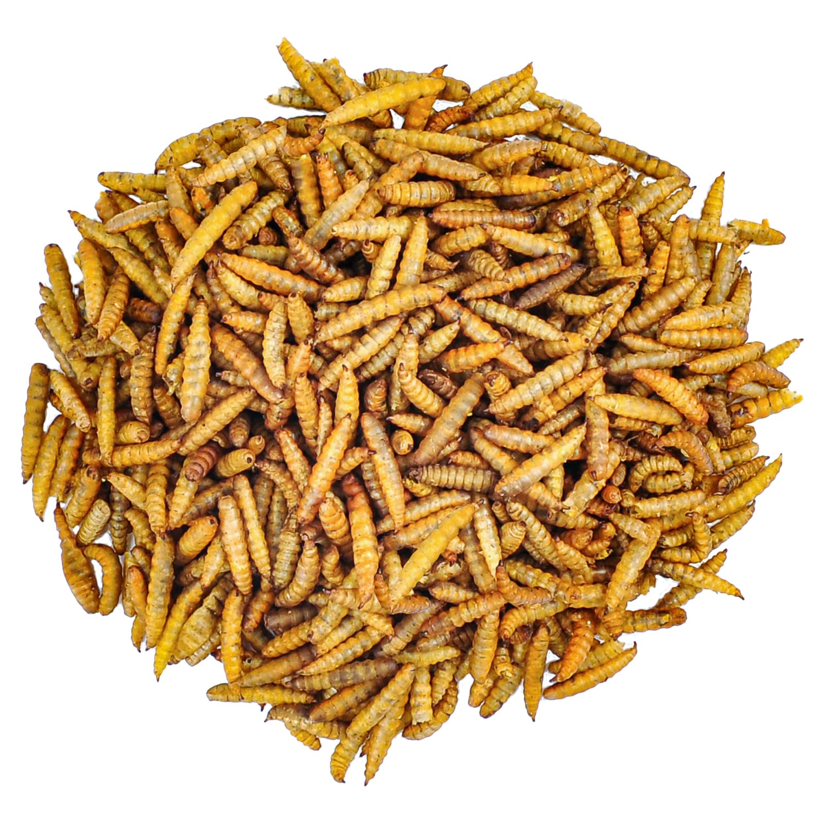 2.5oz Dried Black Soldier Fly Larvae for Chickens-More Calcium Than Dried Mealworms High-Protein Chickens Treats, Food for Poultry Flock, Laying Hens, Birds, Reptiles
