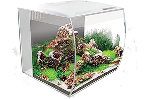 Fluval Flex 15 Aquarium Kit: The Ideal 15g Fish Tank for Fish and Plants