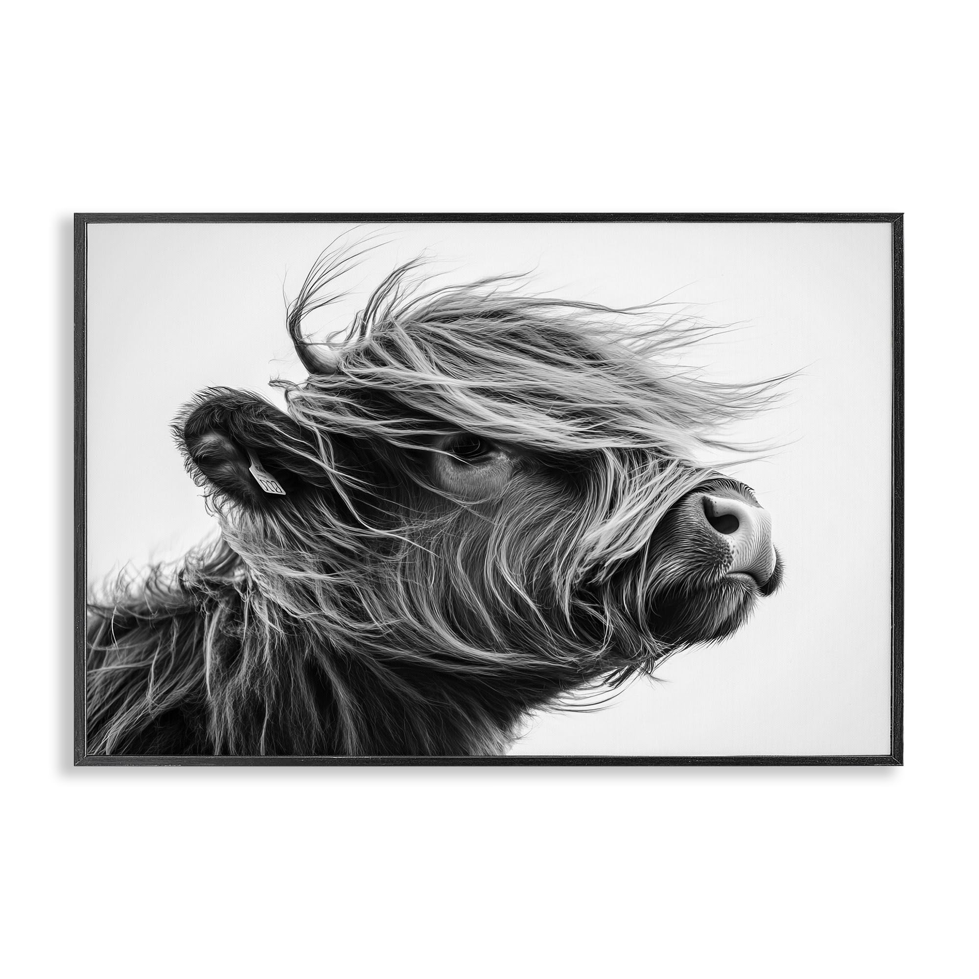 Stupell Industries 'Handsome Highland Portrait', Framed Giclee Art, Black, 24 x 16 Inches, Easy to Hang and Sturdy, Made in USA, by Tina LeCour
