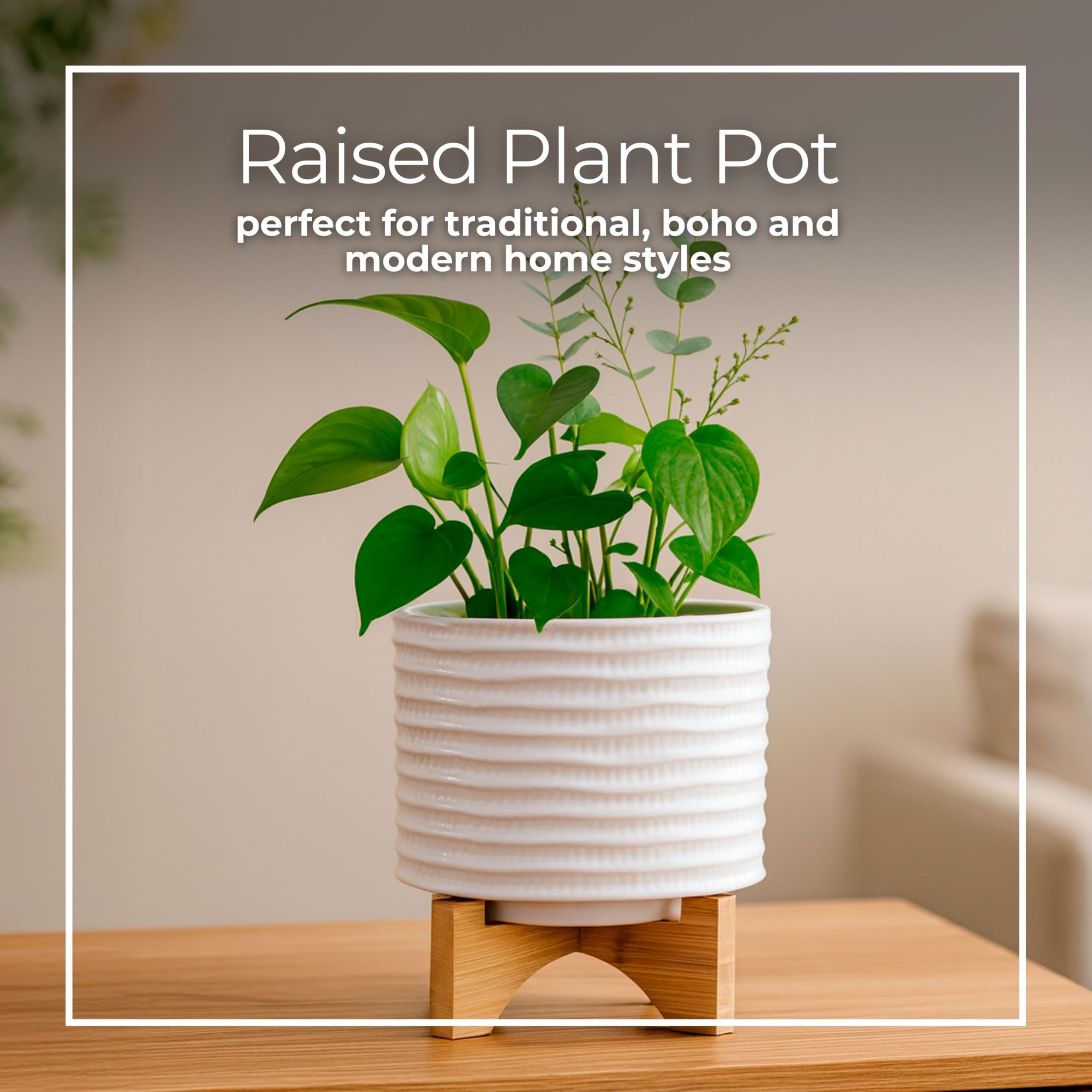 plant self watering spikes Self-Watering Spike  Seedor