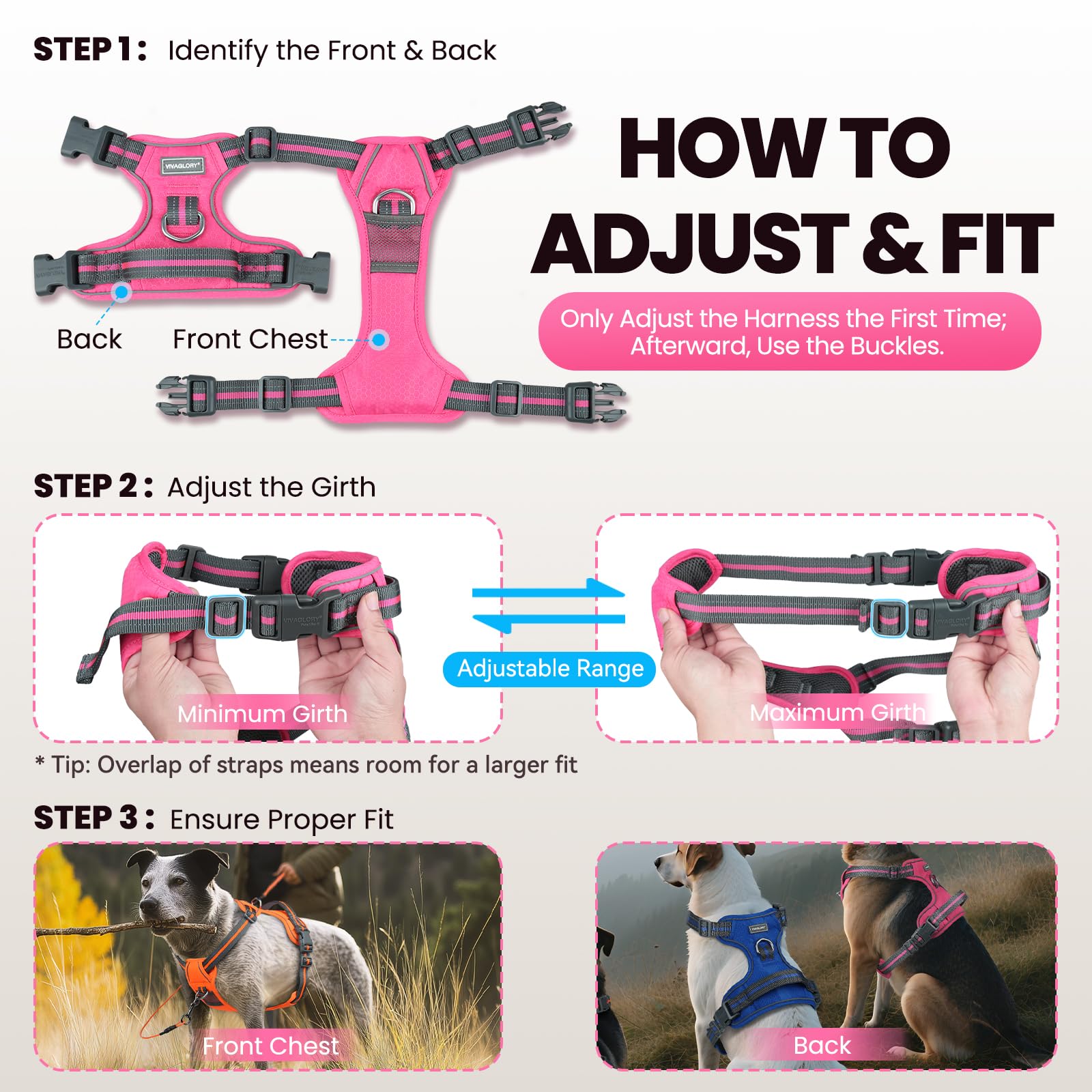 VIVAGLORY Anti-Zug Hundegeschirr Mit Griff - Ausbruchsicher Für Training & Spazieren