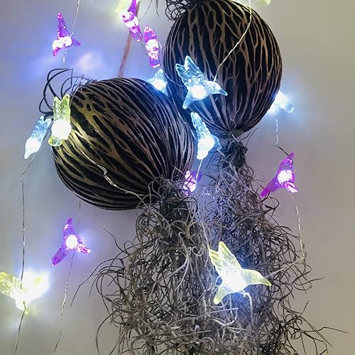 Miniatura 4 de Sezrgiu Guirnalda de luces decorativas de colibrí, 14 pies, 40 LED, 8 modos, funciona con USB, para dormitorios, fiestas, bodas, jardín, decoración