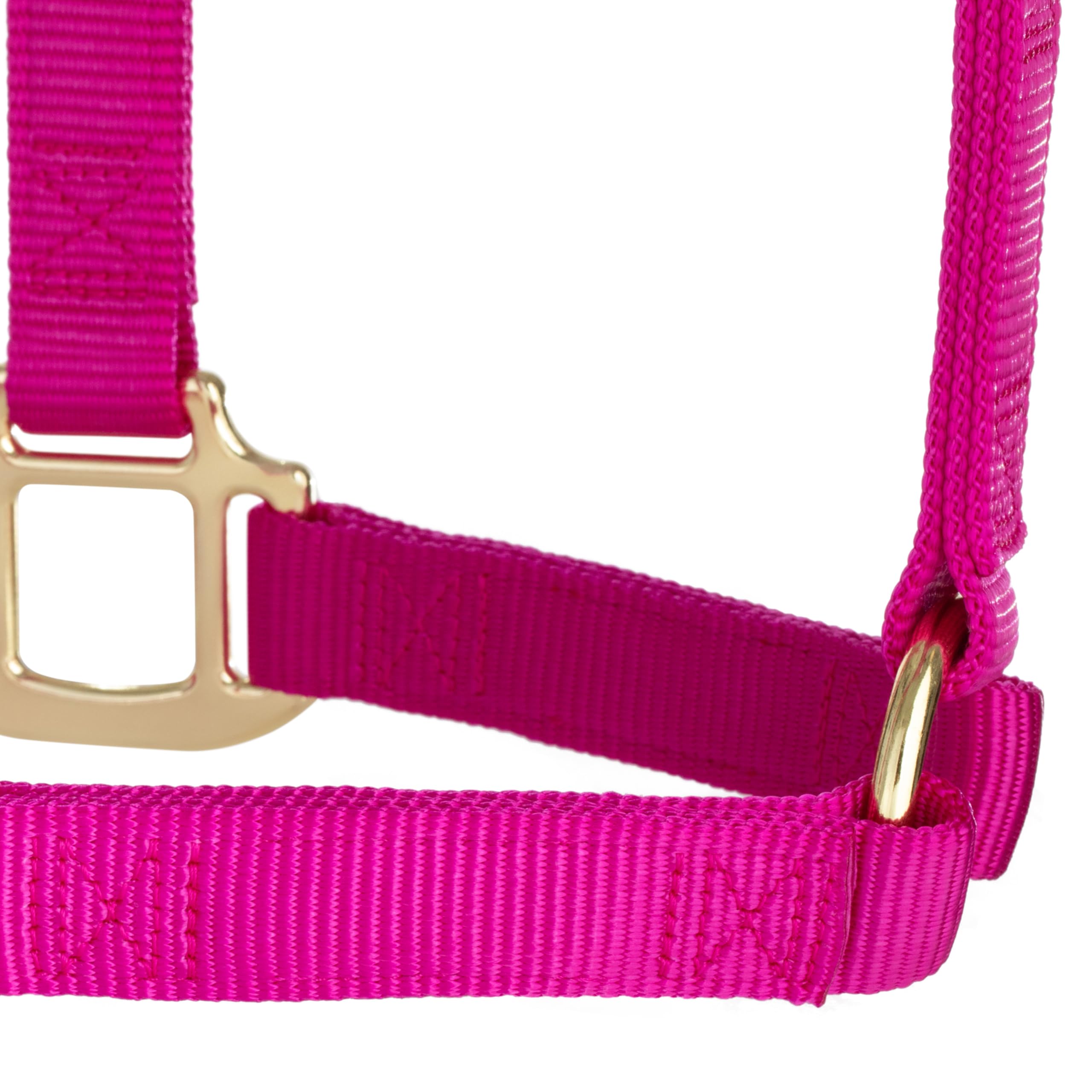 Weaver Leather Original - Cavezza Non Regolabile, per Cavallo tra 1 e 2 Anni, M, Lampone