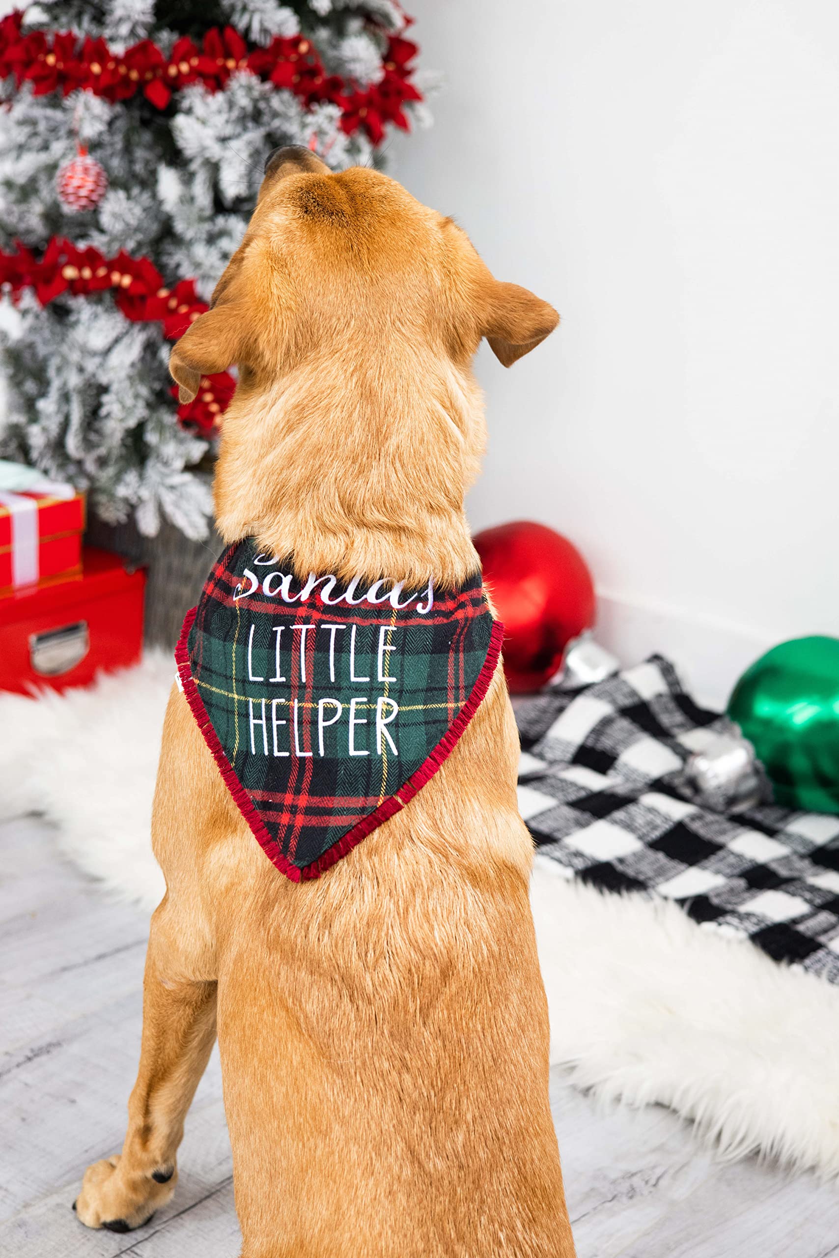 Amazon.co.jp: Pearhead クリスマス 格子縞 犬用バンダナ サンタ