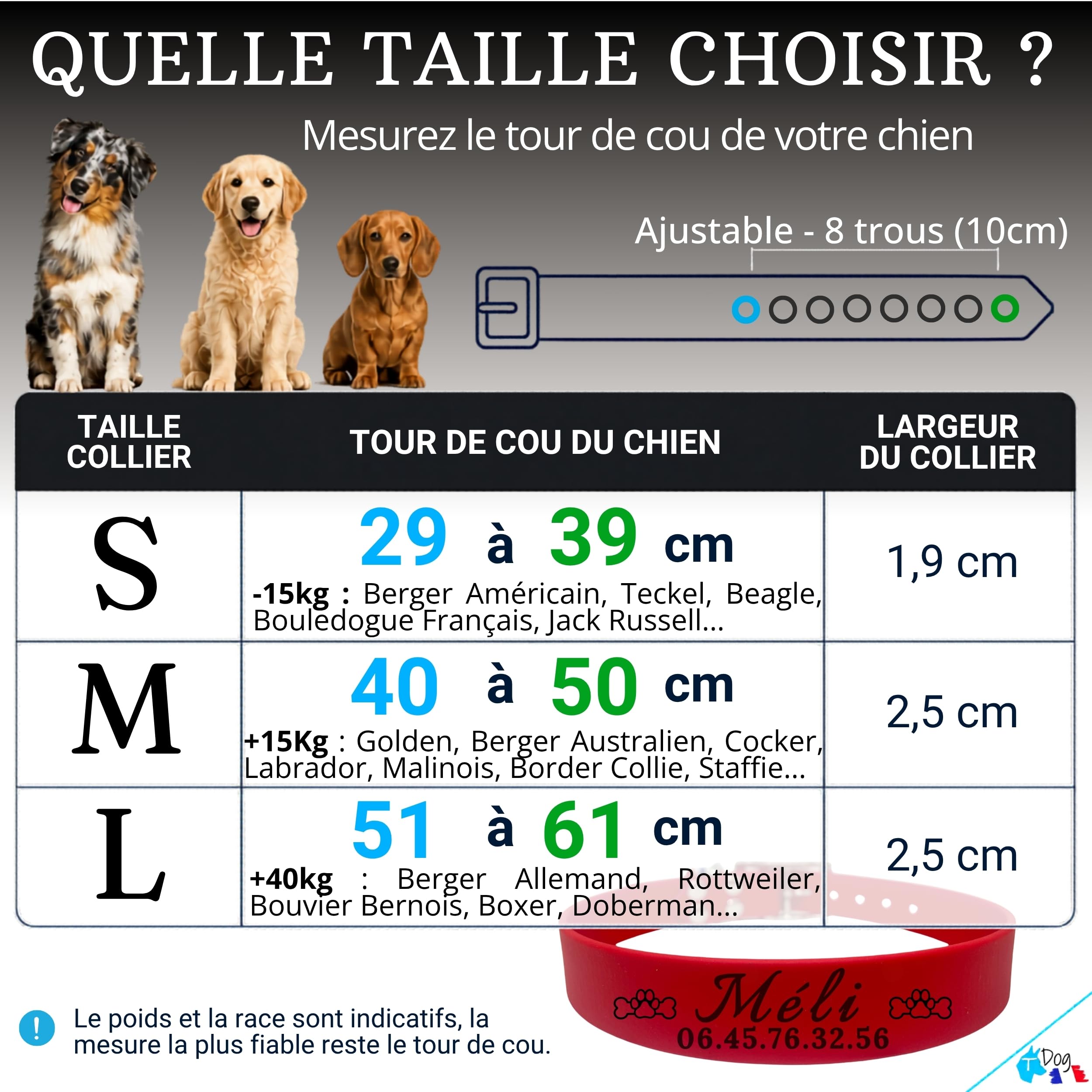 Collier Chien personnalisé Biothane - Fait Main France - Collier gravé au Laser - Gravure prénom et numéro téléphone - Sport Chasse Rando - Collier étanche et résistant pour Chien - TDOG (Rouge)