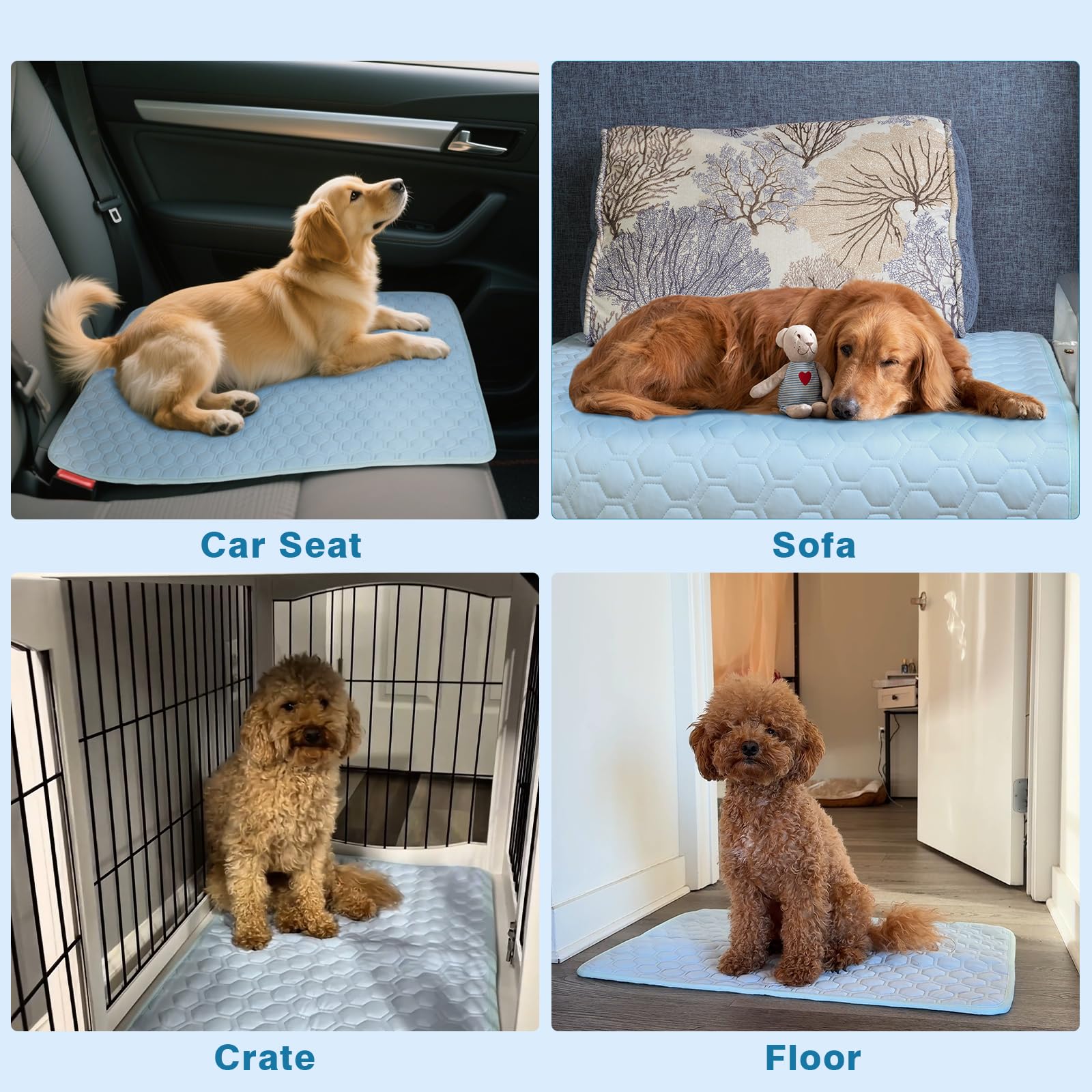 SISROL Arc-Chill Haustier Kühlmatte Hunde Katzen Q-Max 0,5 Waschbar Anti-Rutsch Pad