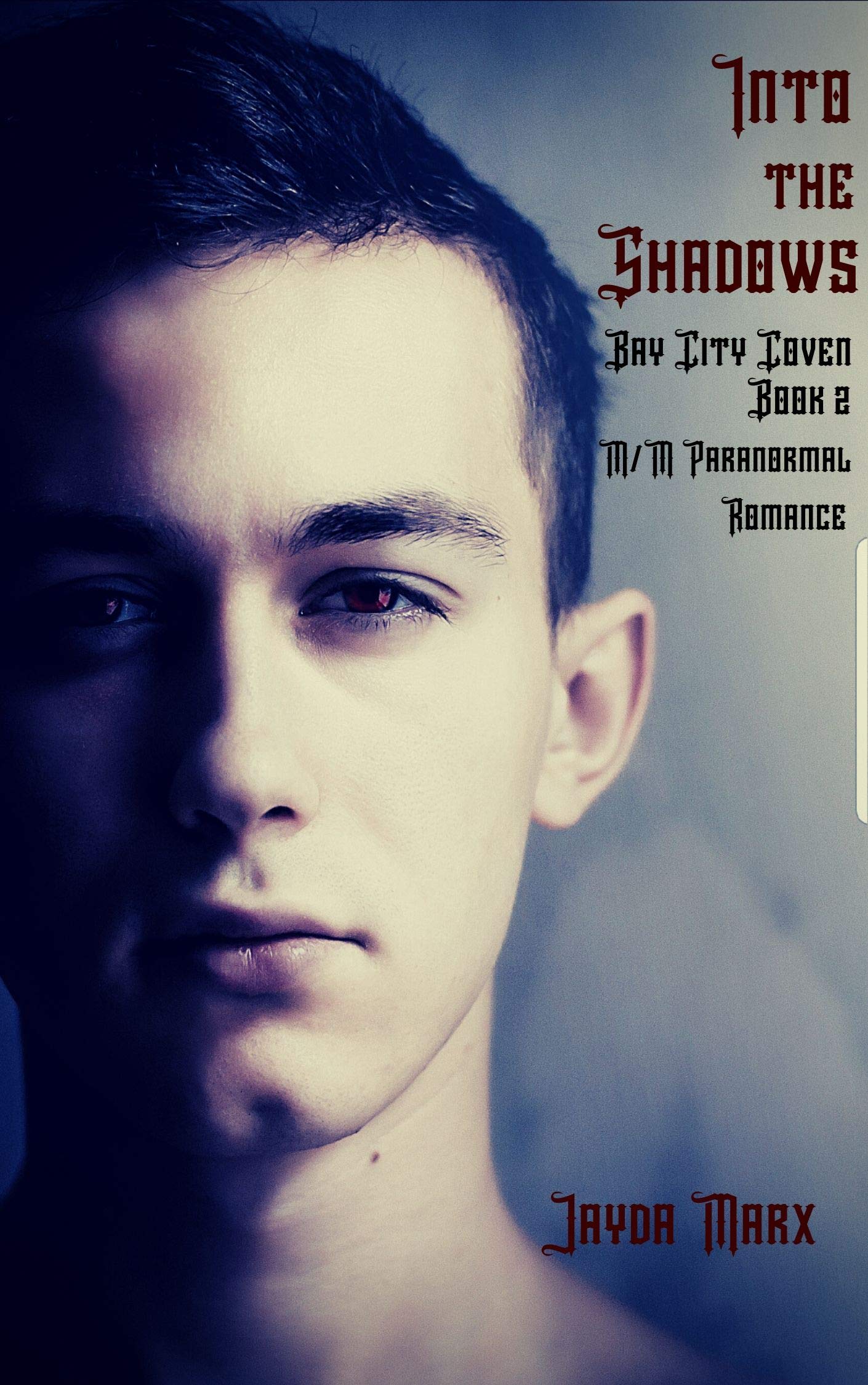 Into the Shadows (Bay City Coven Book 2)